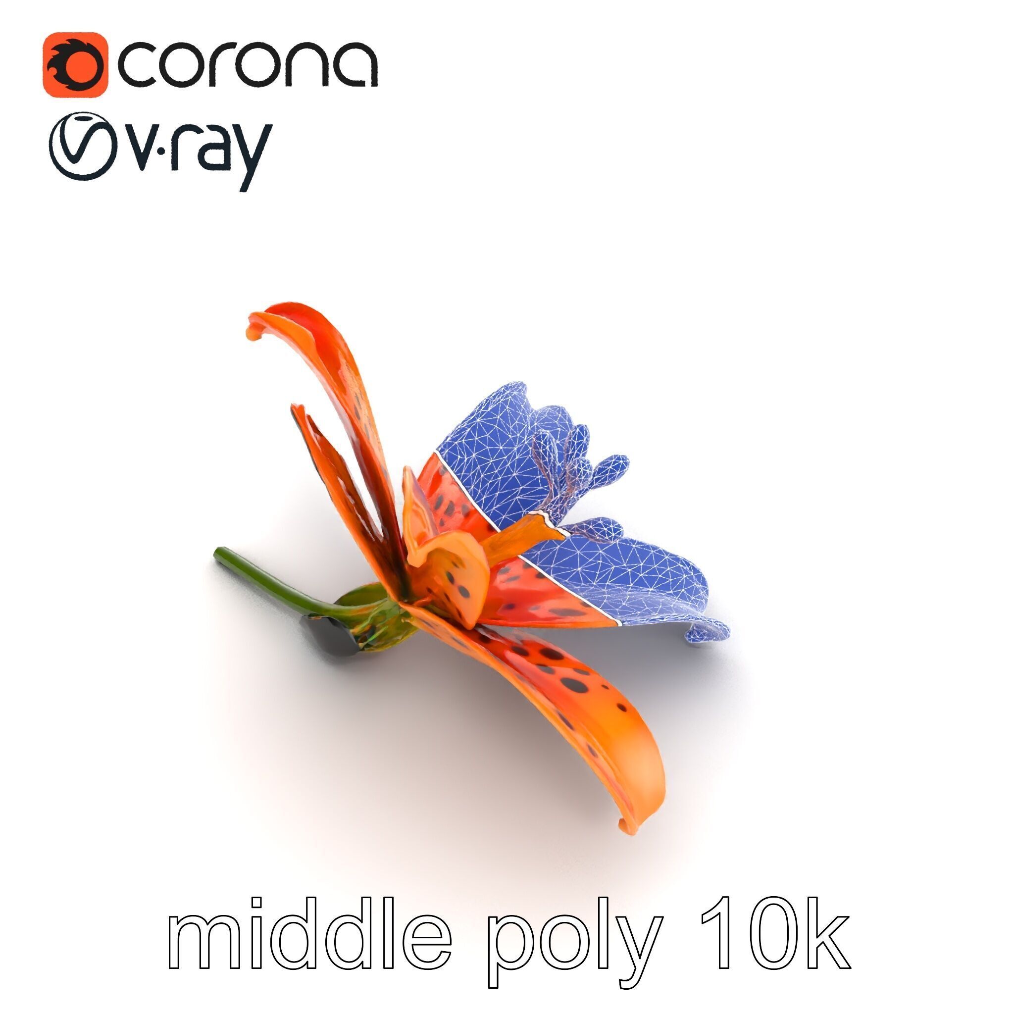 Leopard Lily Botanical Floral Sculpture model pack Low-poly 3D model_17