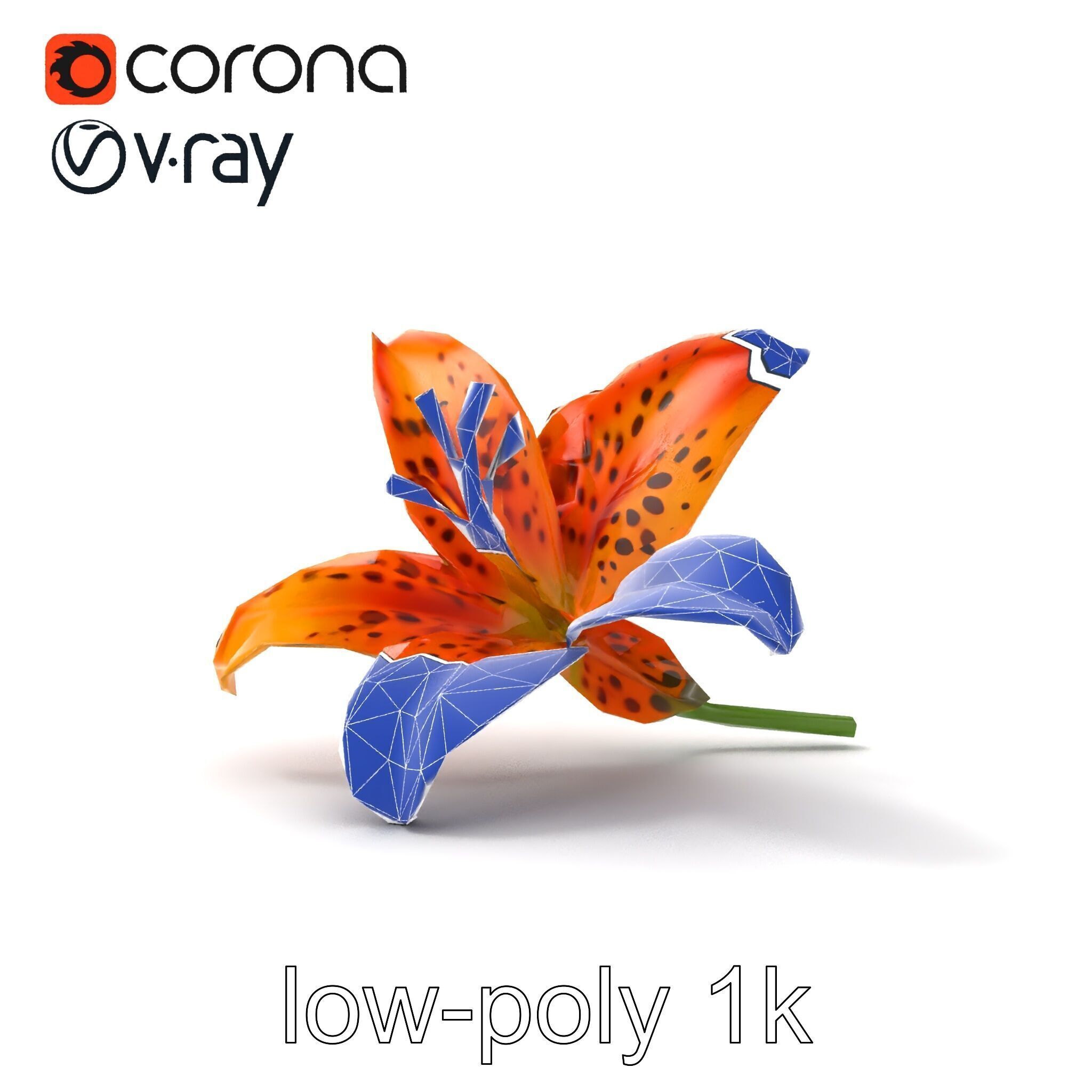 Leopard Lily Botanical Floral Sculpture model pack Low-poly 3D model_16
