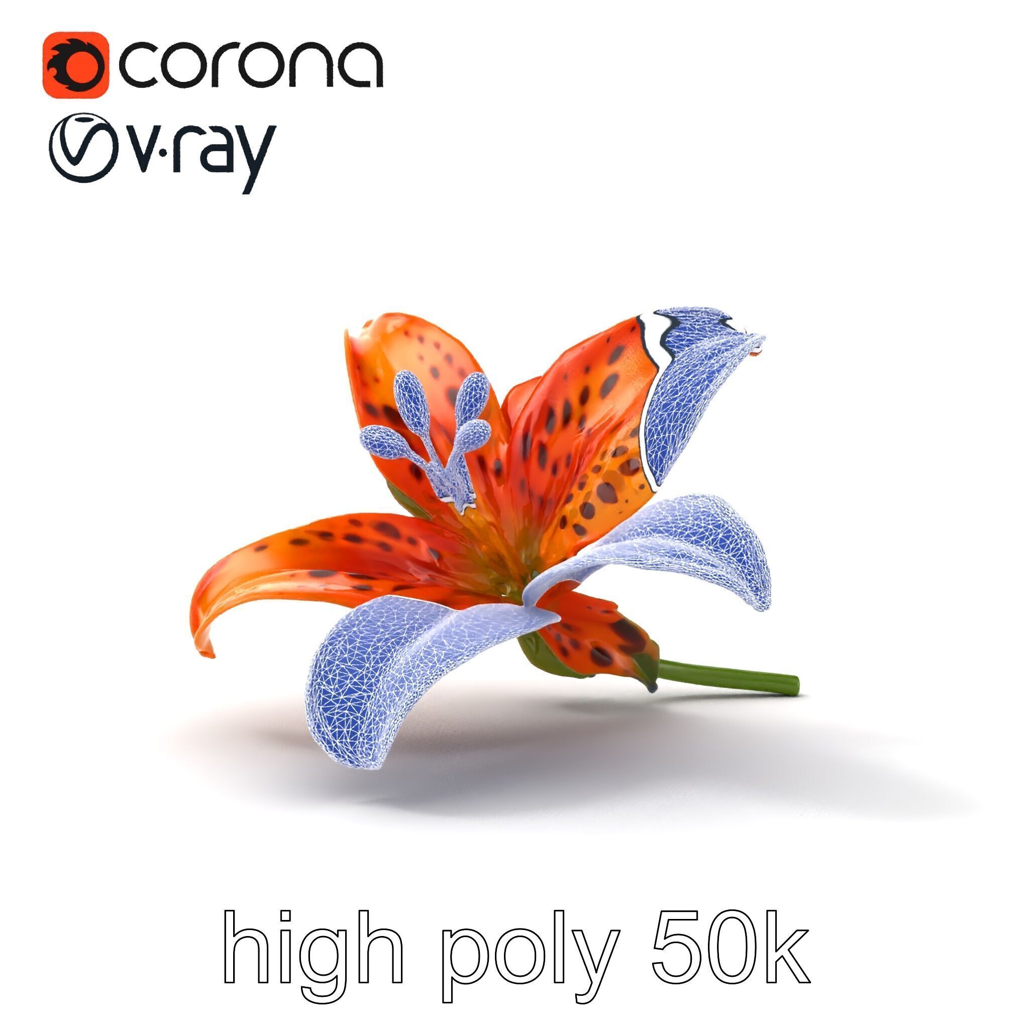 Leopard Lily Botanical Floral Sculpture model pack Low-poly 3D model_10