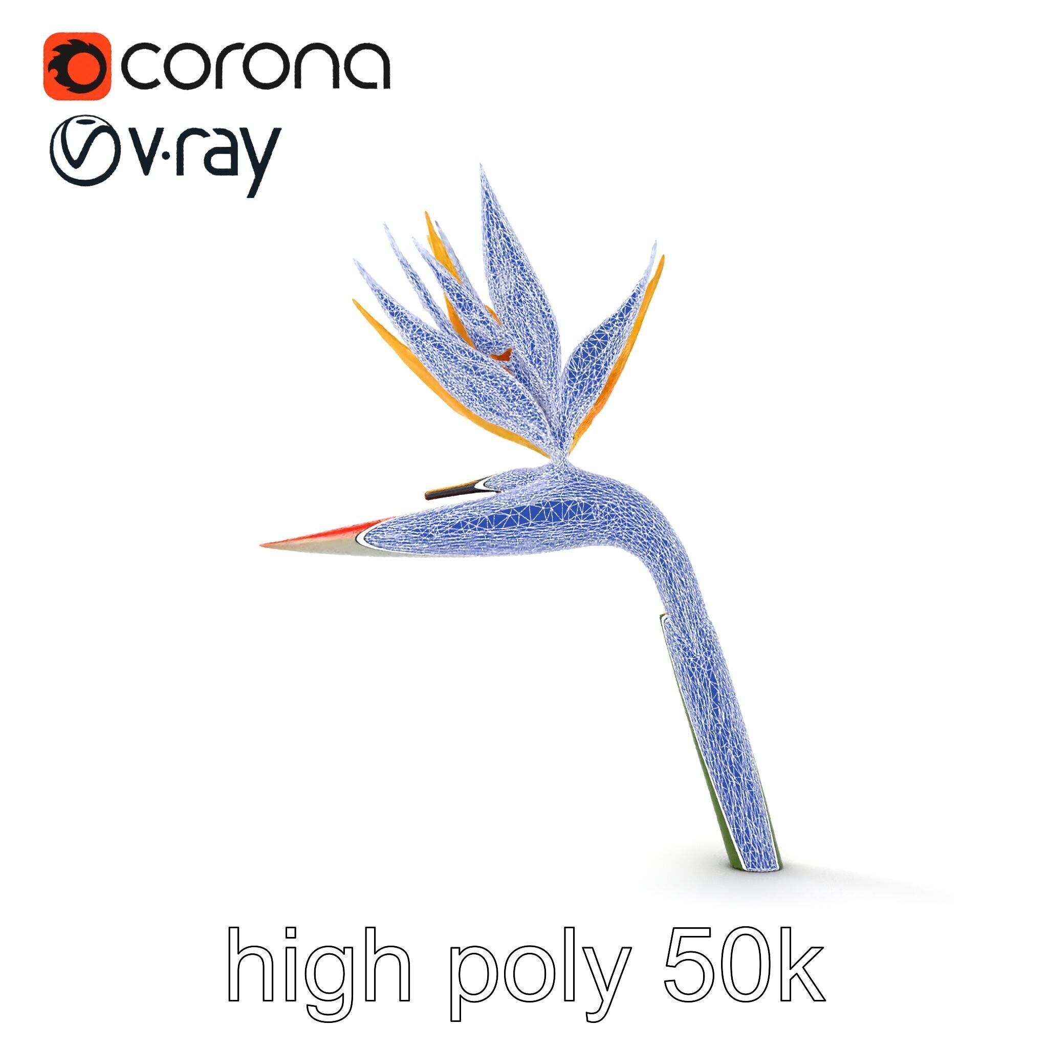 Strelitzia Flower Elegance model pack Low-poly 3D model_17