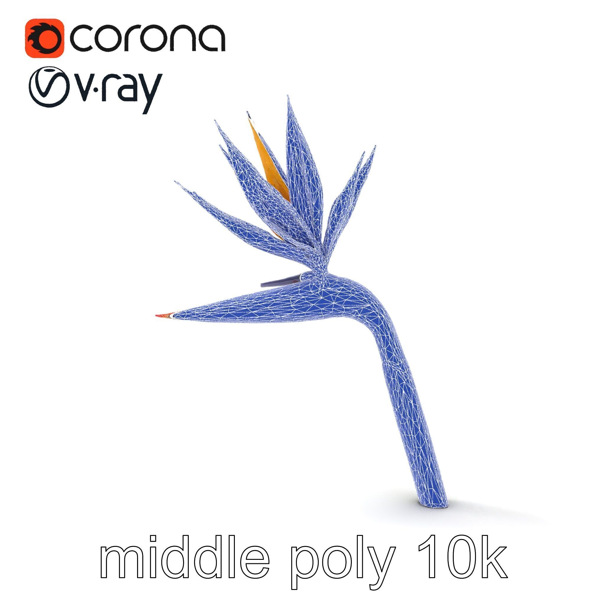 Strelitzia Flower Elegance model pack Low-poly 3D model_24
