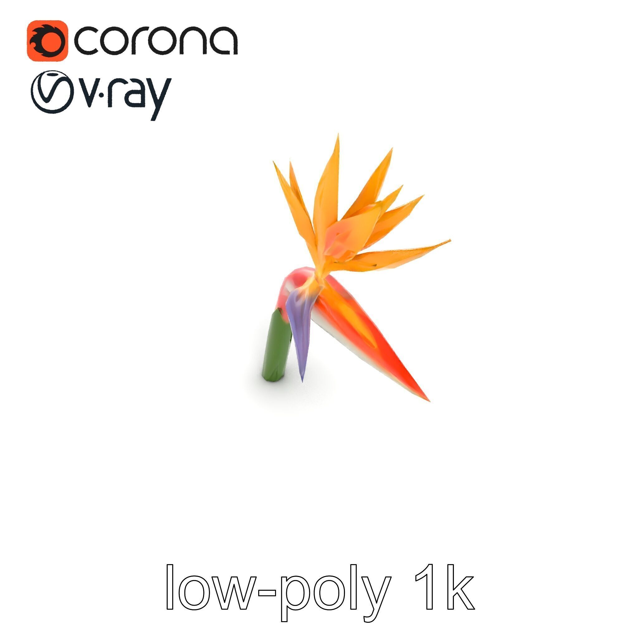 Strelitzia Flower Elegance model pack Low-poly 3D model_30