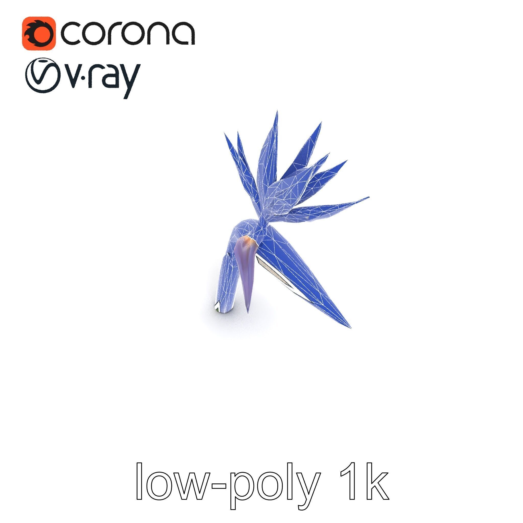 Strelitzia Flower Elegance model pack Low-poly 3D model_20