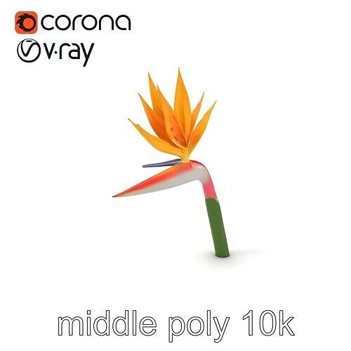 Strelitzia Flower Elegance model pack Low-poly 3D model