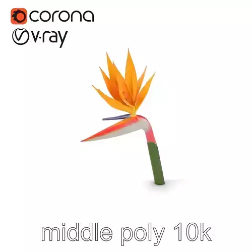 Strelitzia Flower Elegance model pack Low-poly 3D model