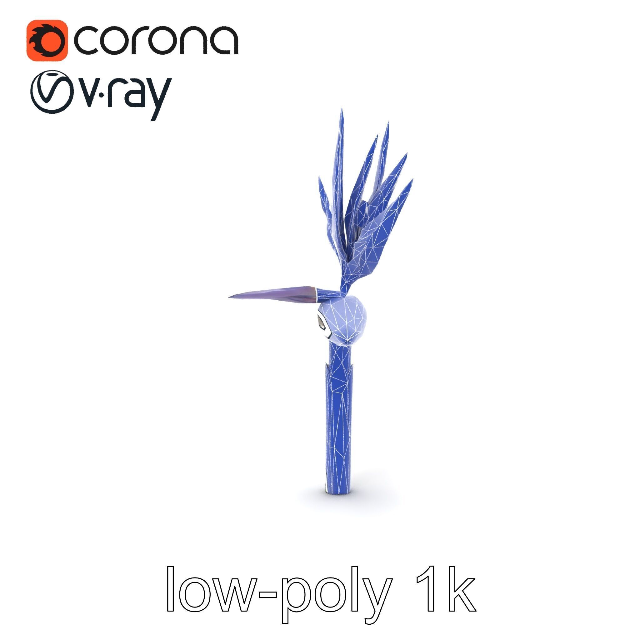 Strelitzia Flower Elegance model pack Low-poly 3D model_13