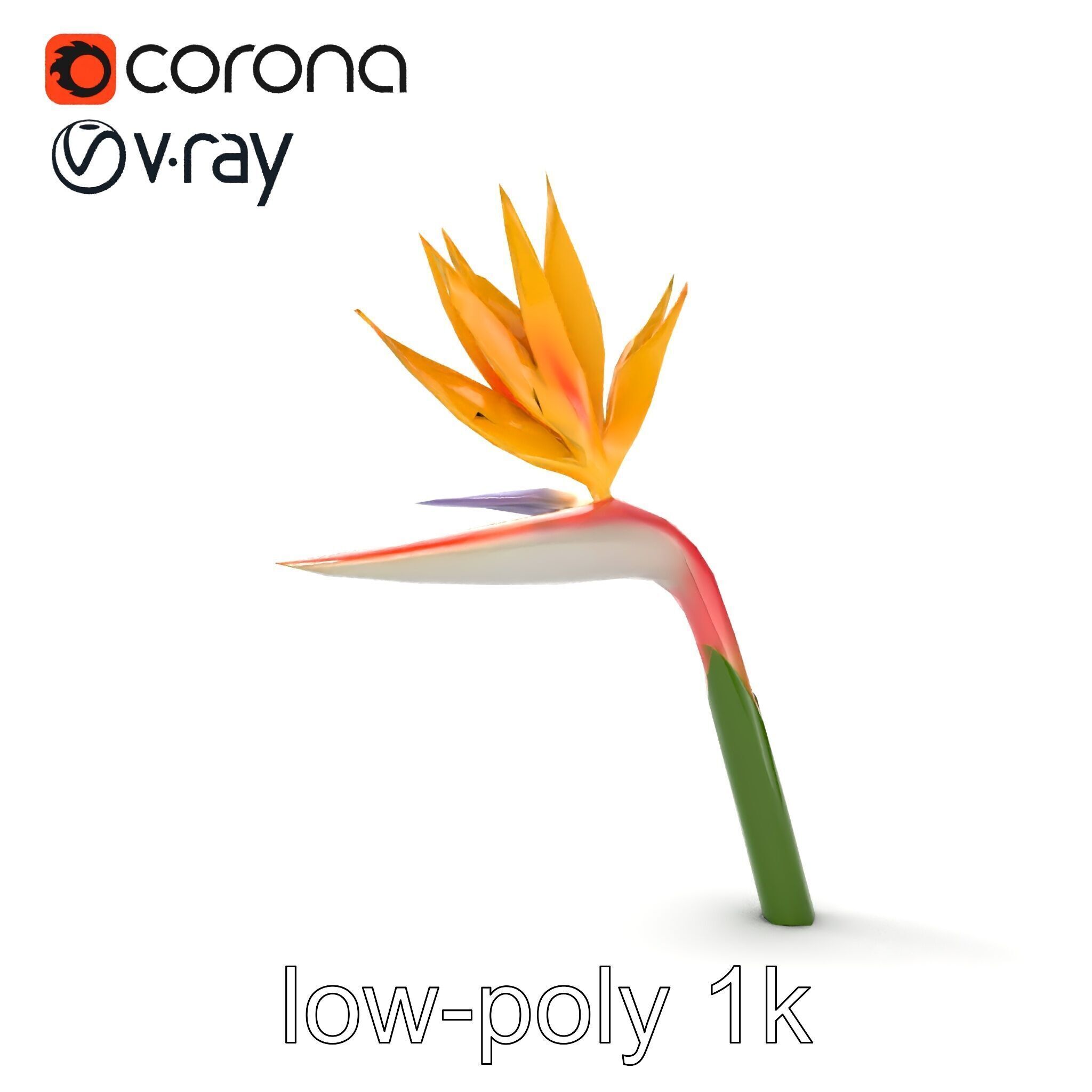 Strelitzia Flower Elegance model pack Low-poly 3D model_28
