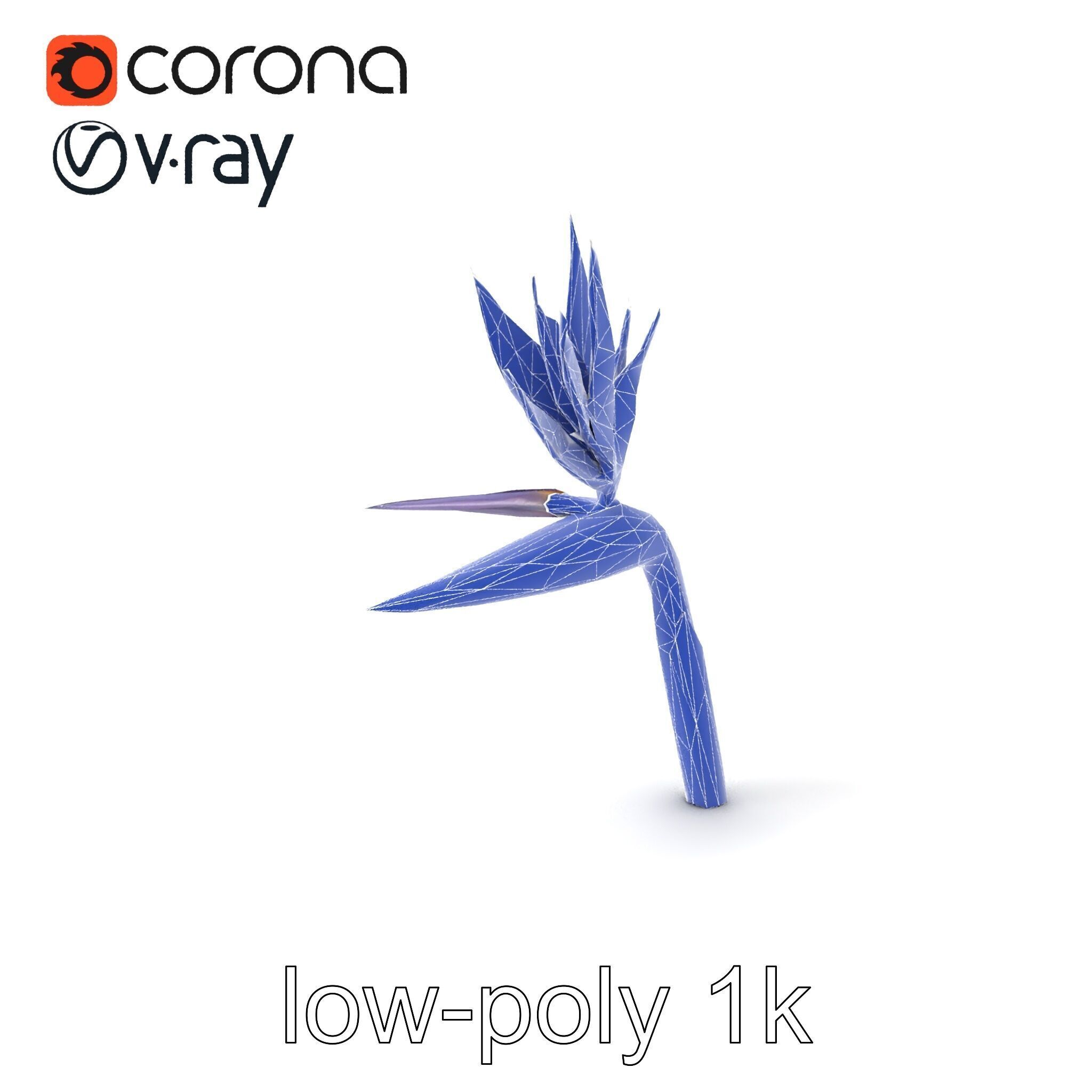 Strelitzia Flower Elegance model pack Low-poly 3D model_6