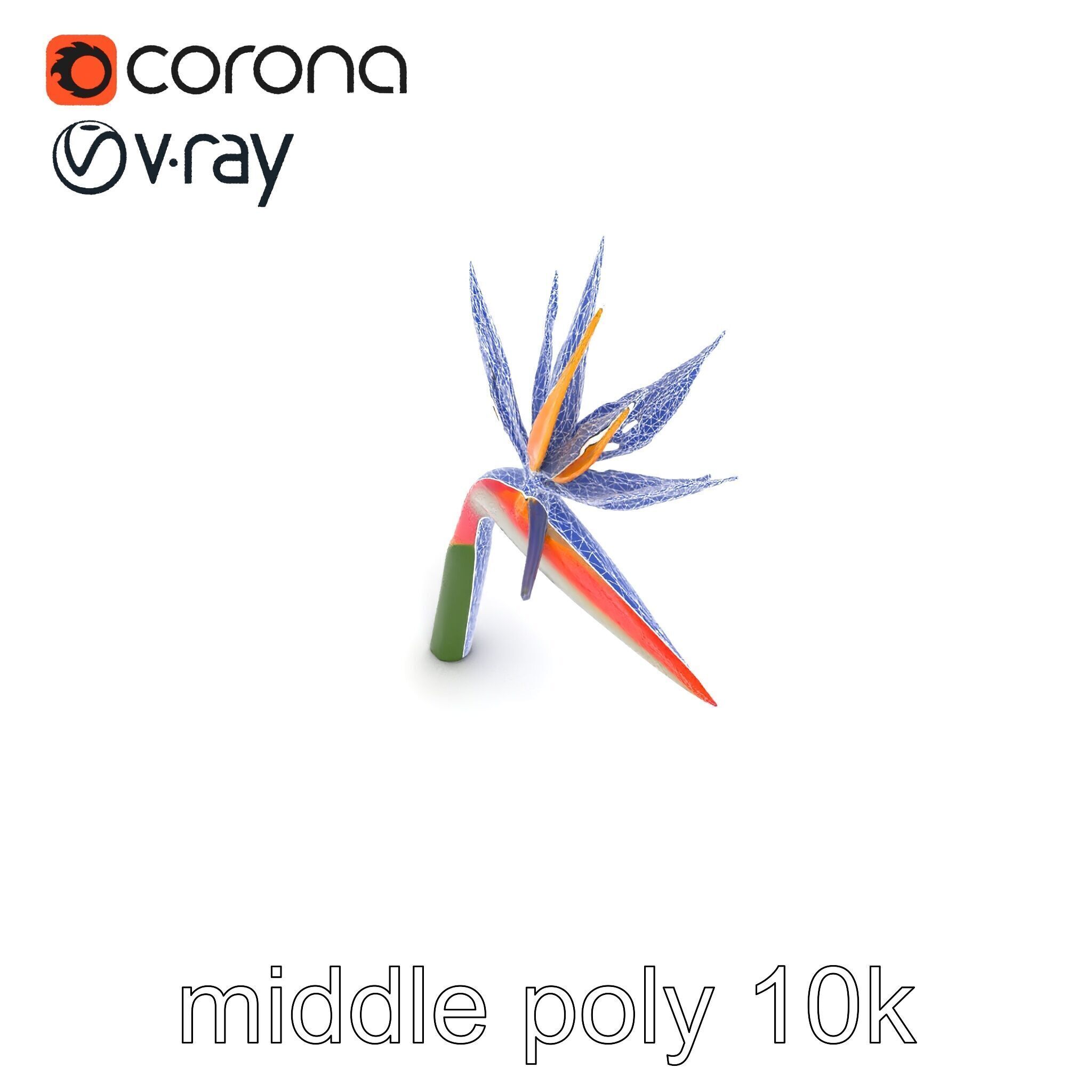 Strelitzia Flower Elegance model pack Low-poly 3D model_21