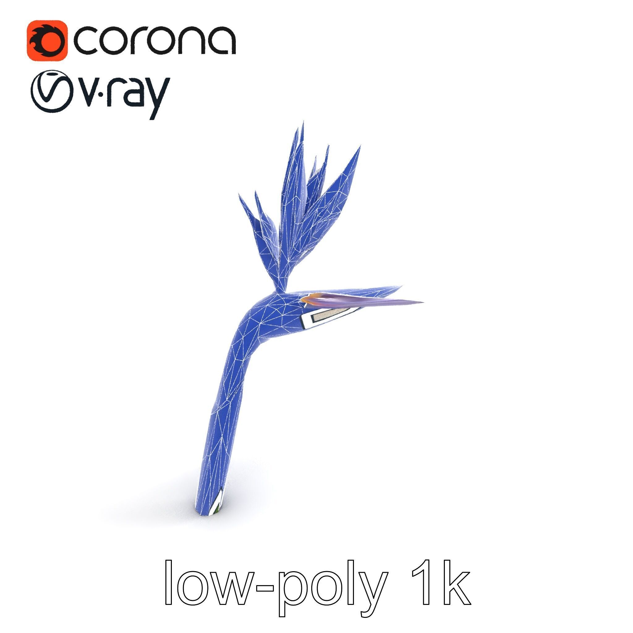 Strelitzia Flower Elegance model pack Low-poly 3D model_11