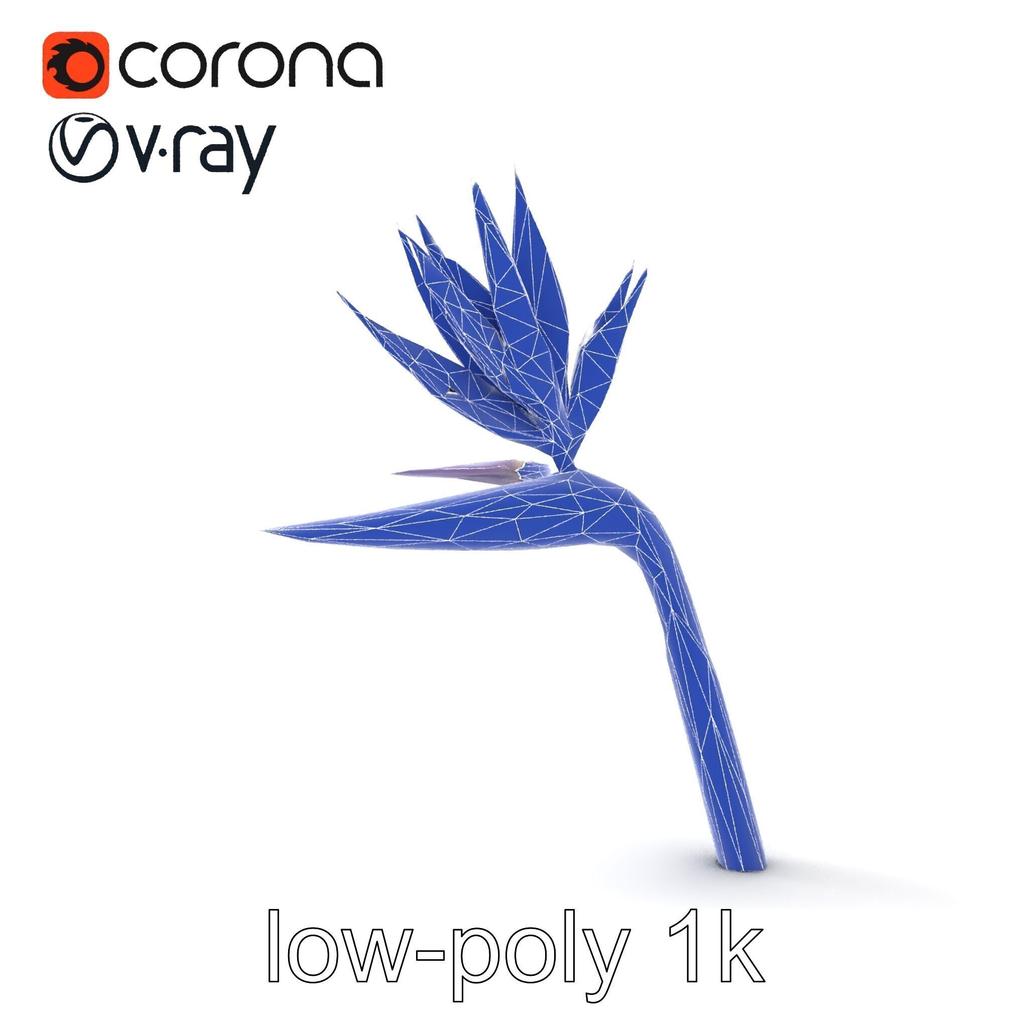 Strelitzia Flower Elegance model pack Low-poly 3D model_22