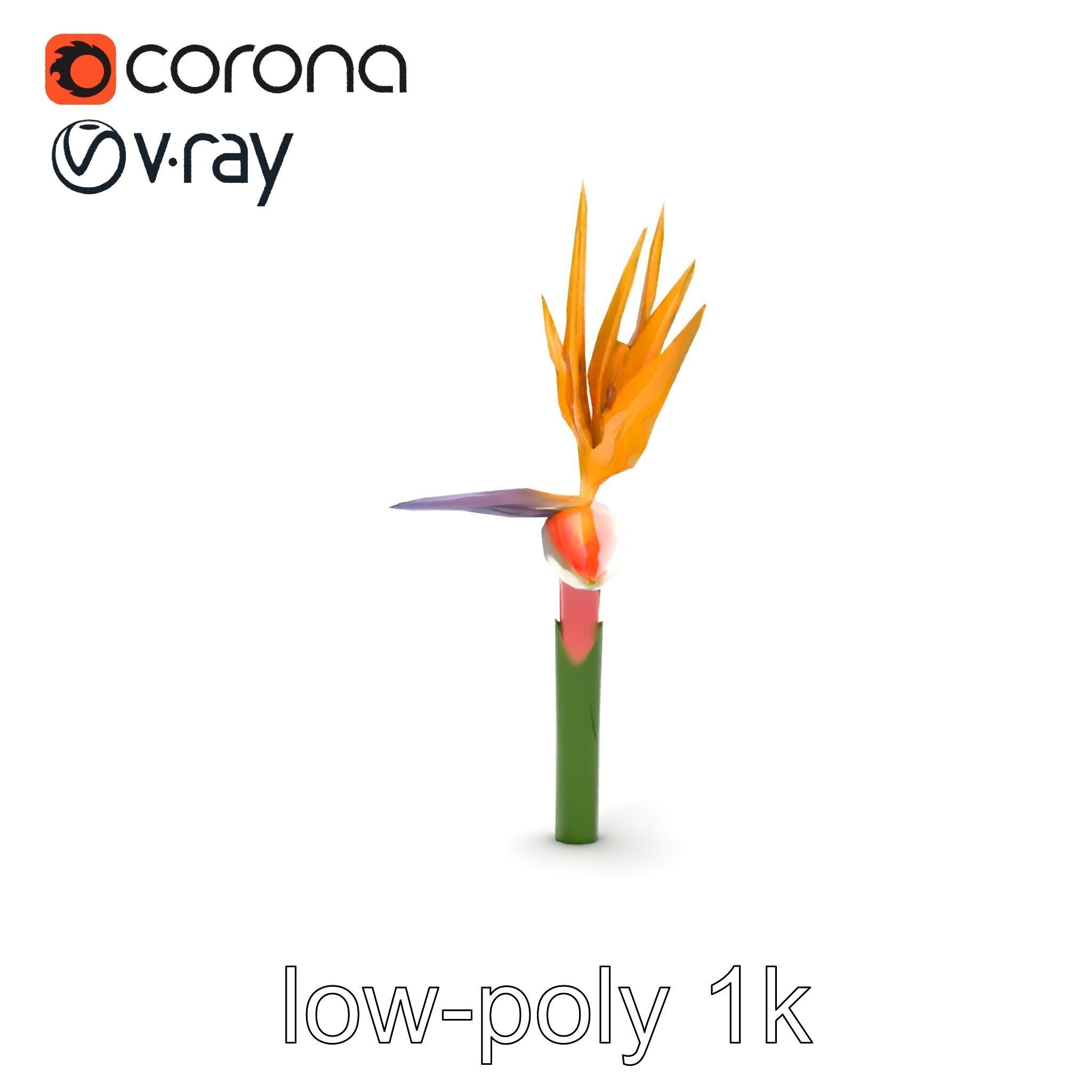 Strelitzia Flower Elegance model pack Low-poly 3D model_15