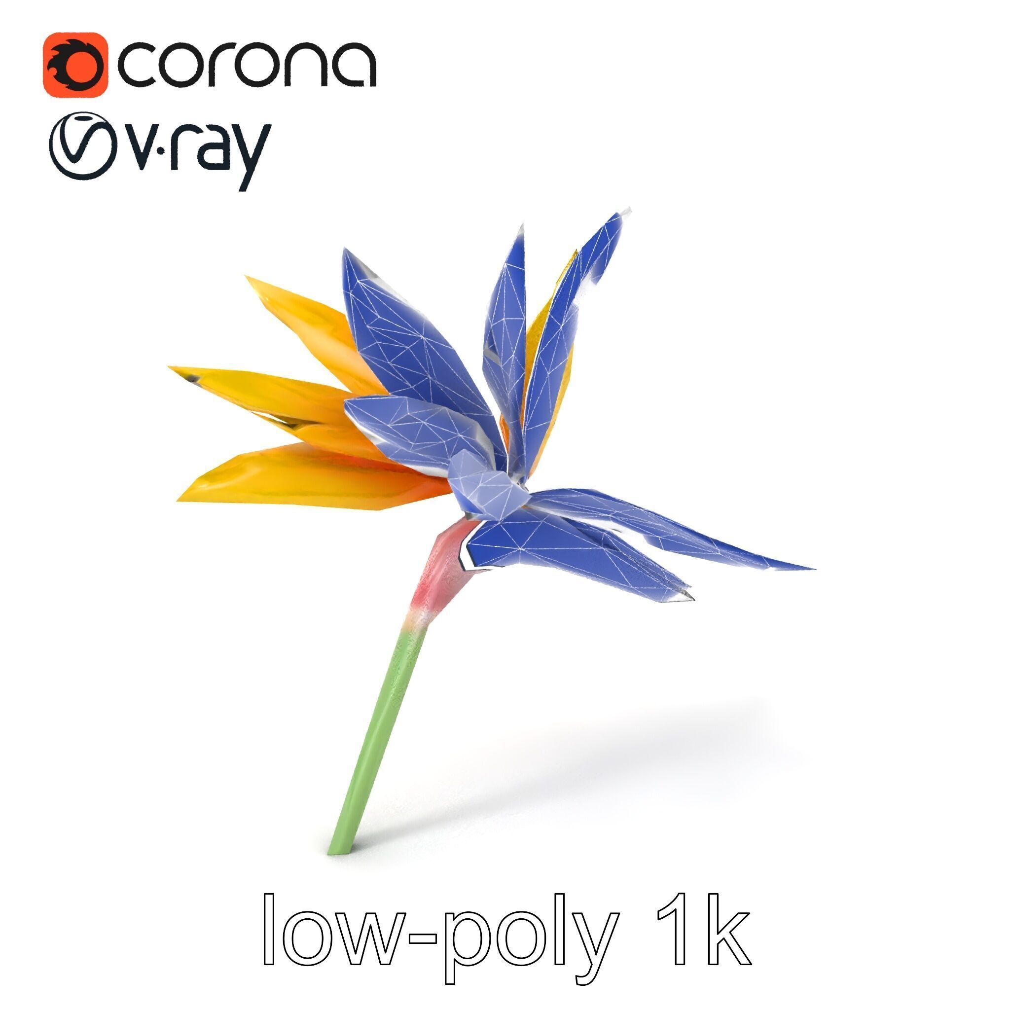 Yellow Strelitzia Flower 3D Model Pack Low-poly 3D model_7
