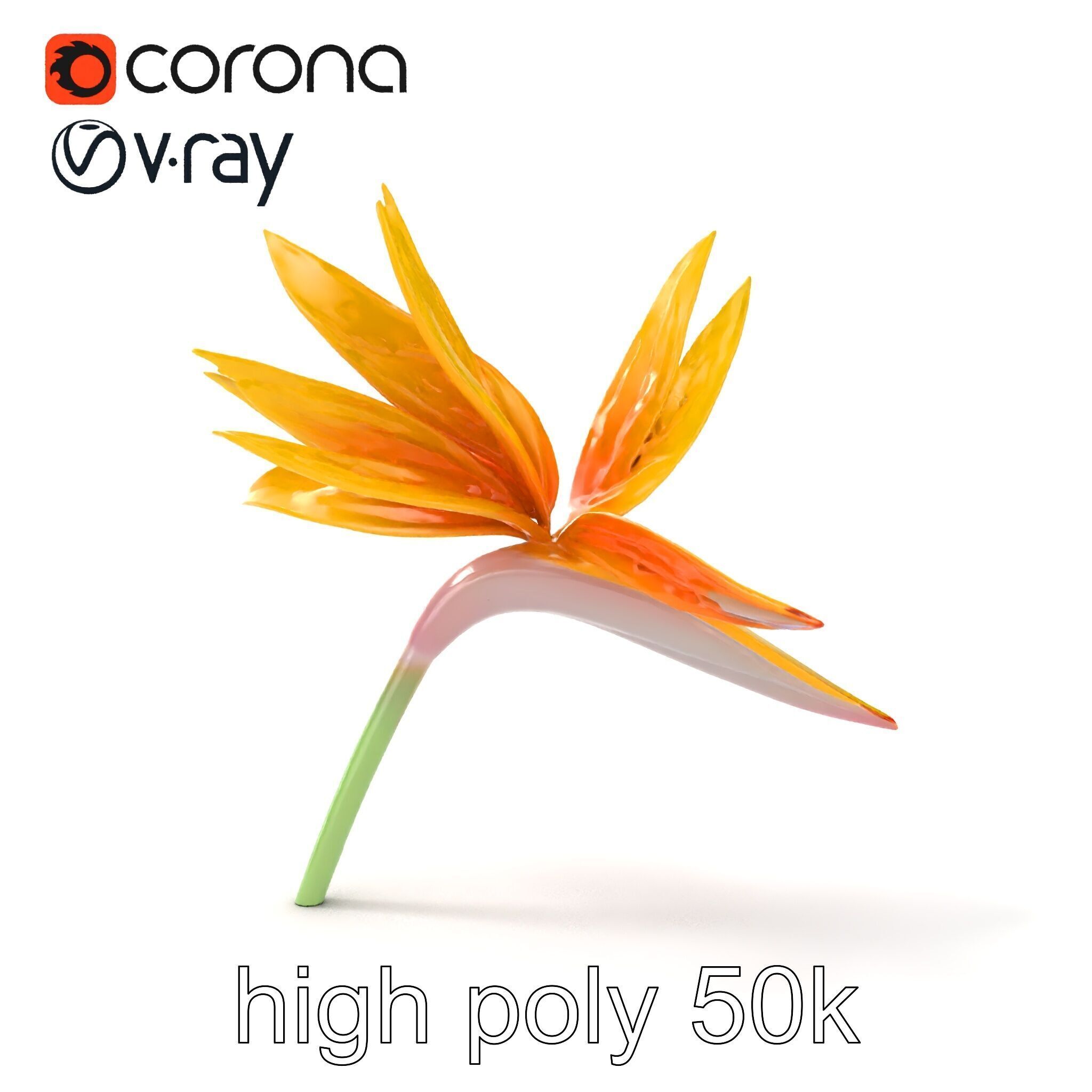 Yellow Strelitzia Flower 3D Model Pack Low-poly 3D model_14