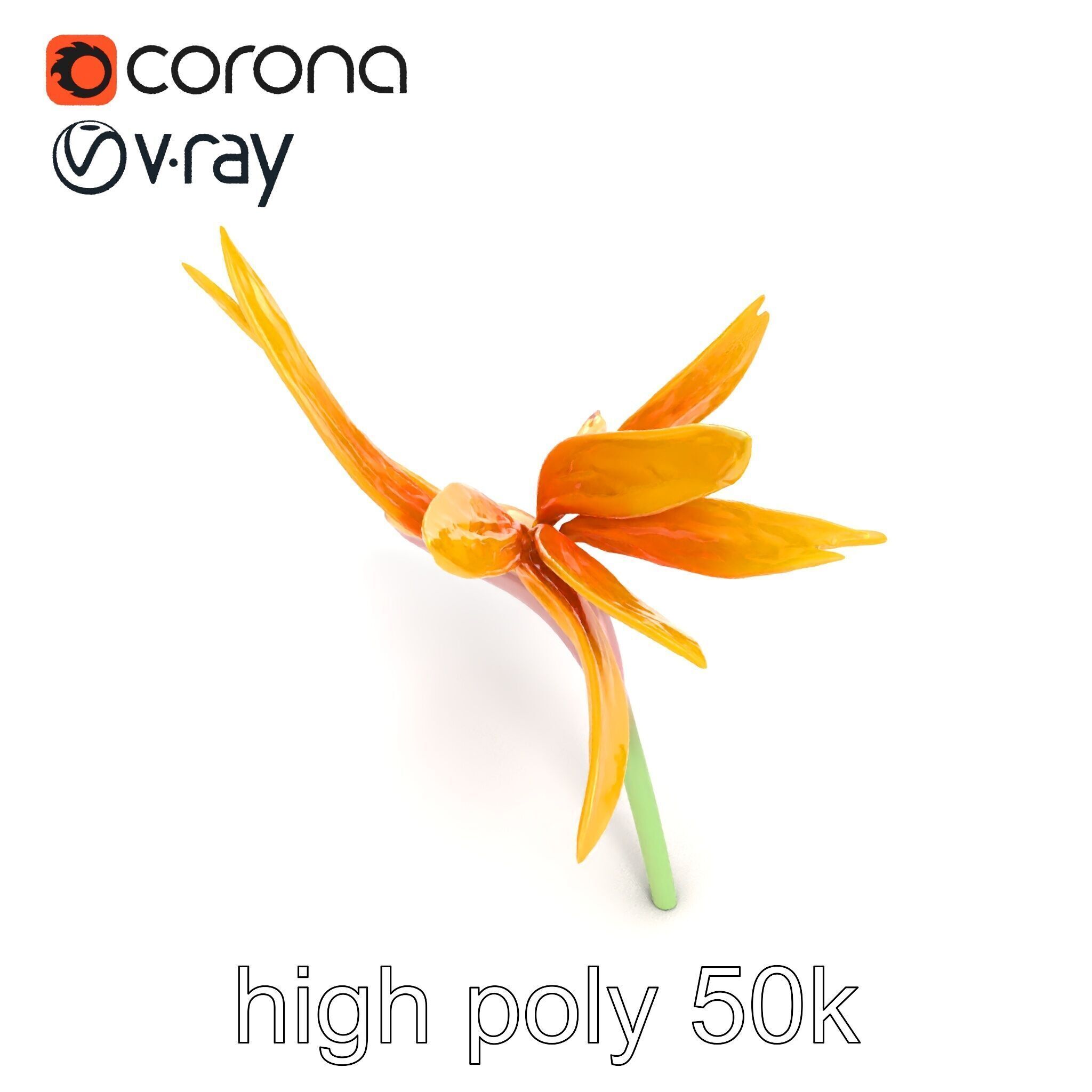 Yellow Strelitzia Flower 3D Model Pack Low-poly 3D model_26