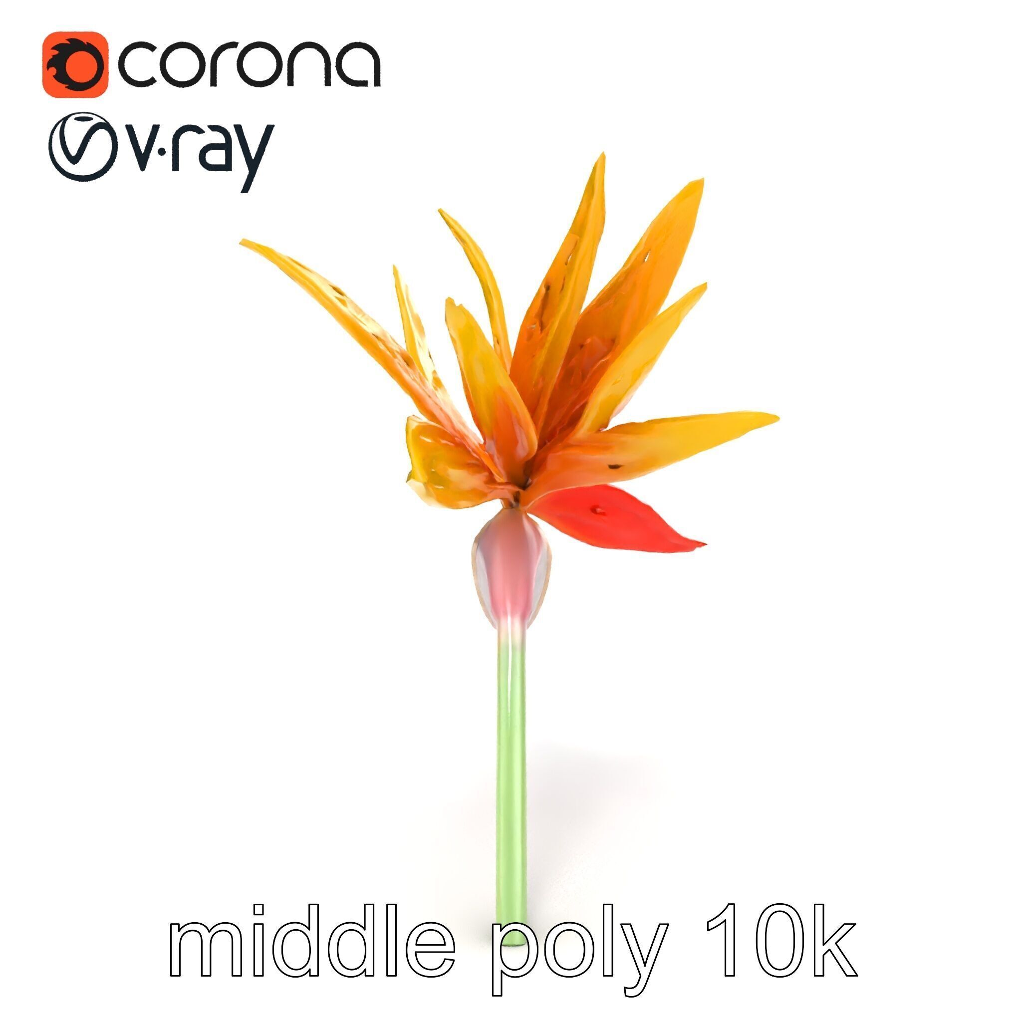 Yellow Strelitzia Flower 3D Model Pack Low-poly 3D model_21