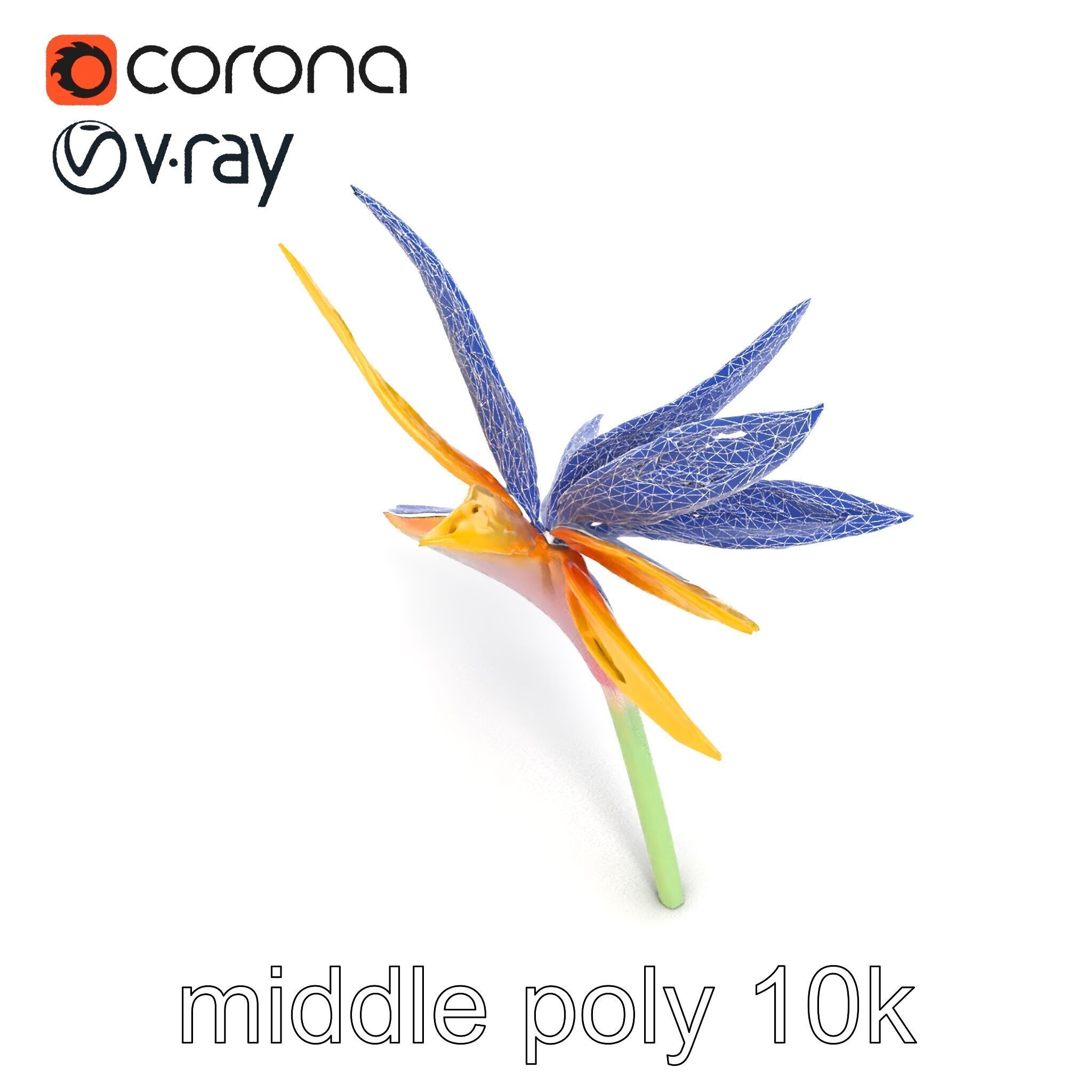 Yellow Strelitzia Flower 3D Model Pack Low-poly 3D model_18