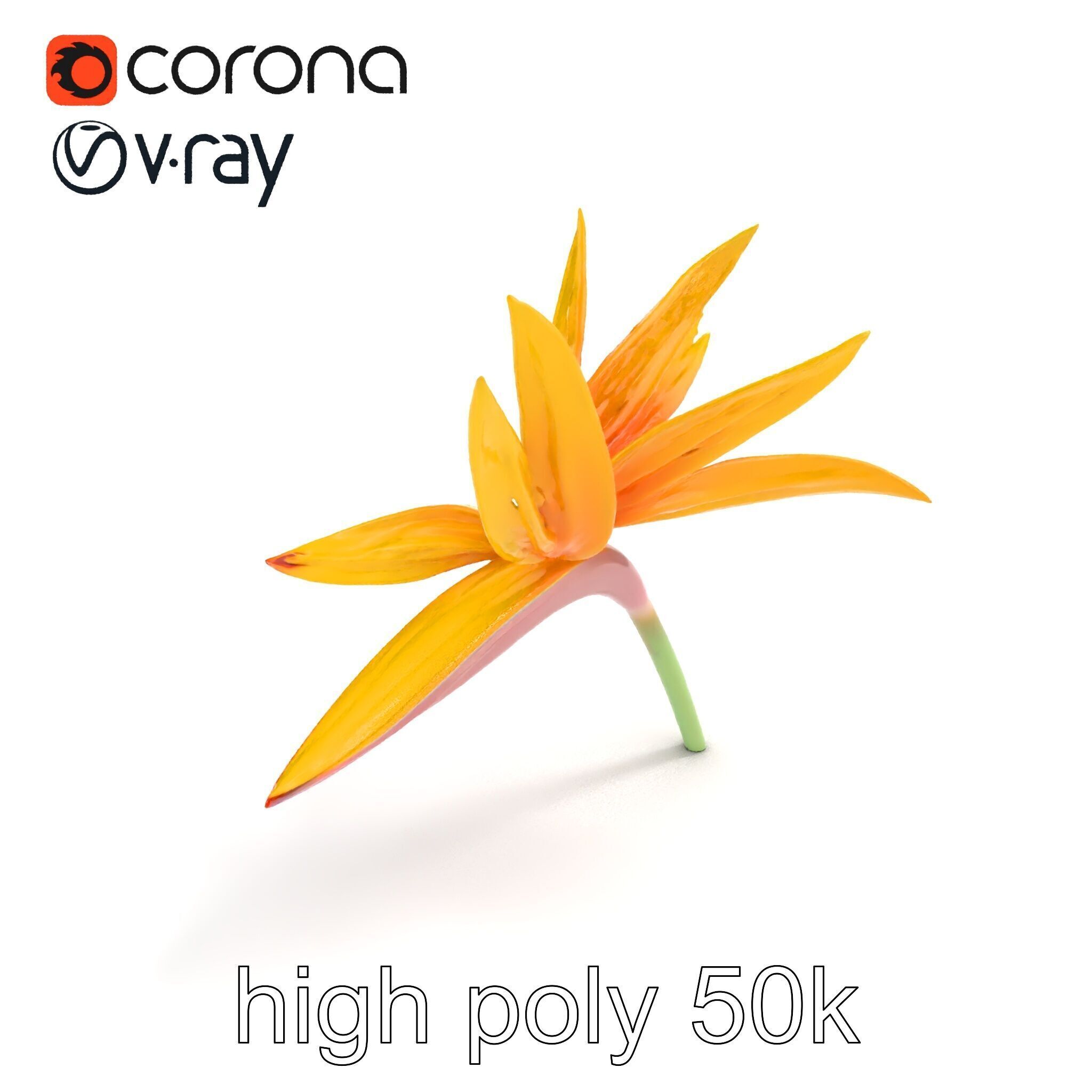 Yellow Strelitzia Flower 3D Model Pack Low-poly 3D model_12