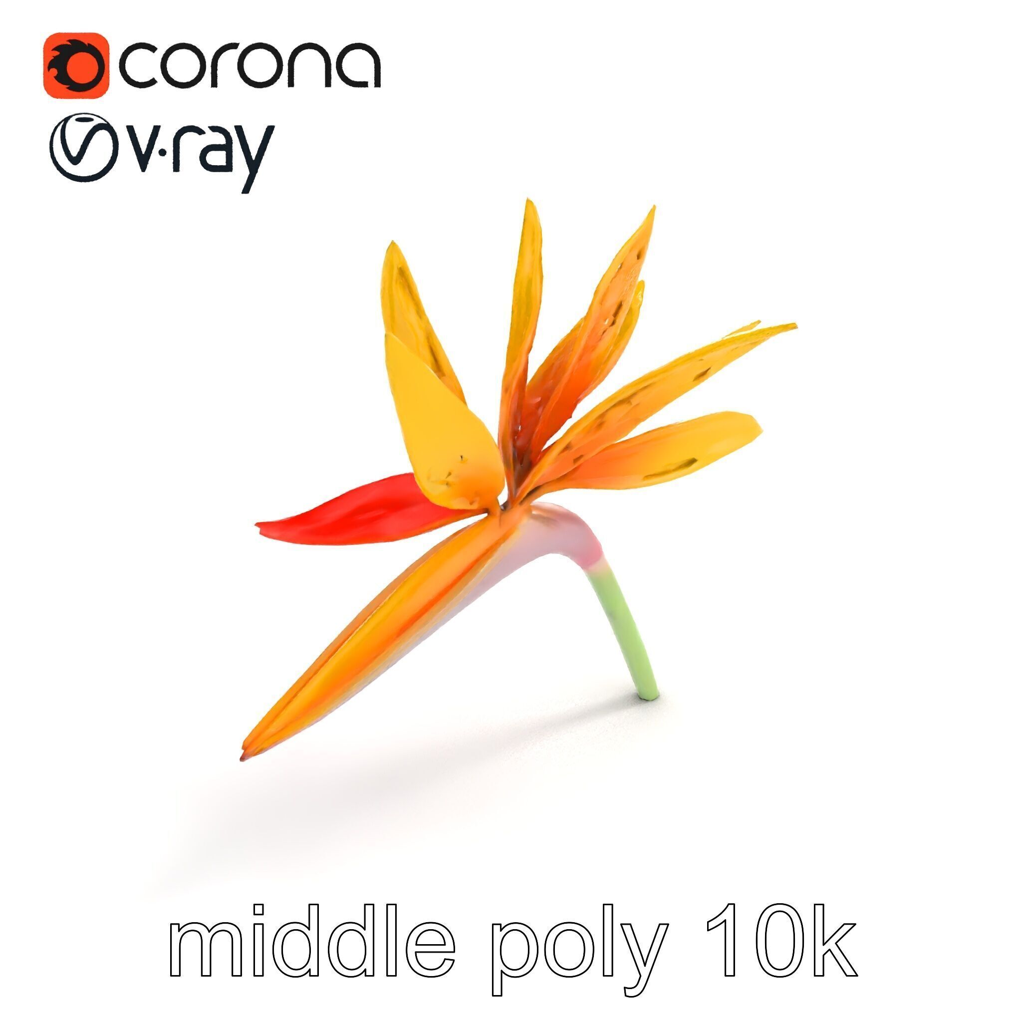 Yellow Strelitzia Flower 3D Model Pack Low-poly 3D model_8
