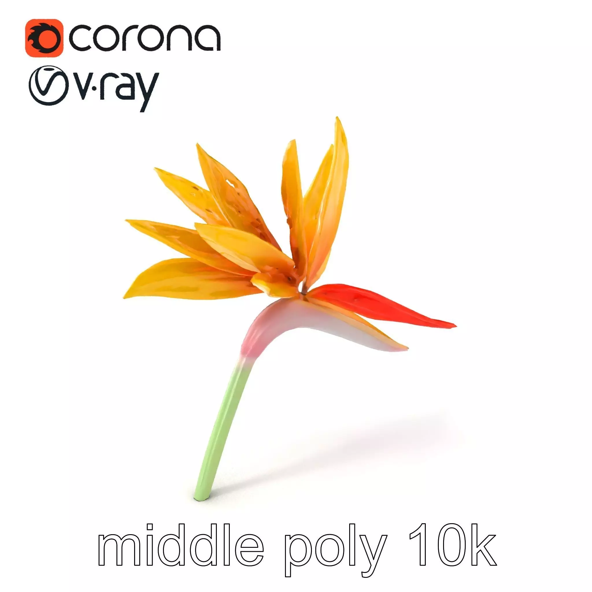 Yellow Strelitzia Flower 3D Model Pack Low-poly 3D model_0