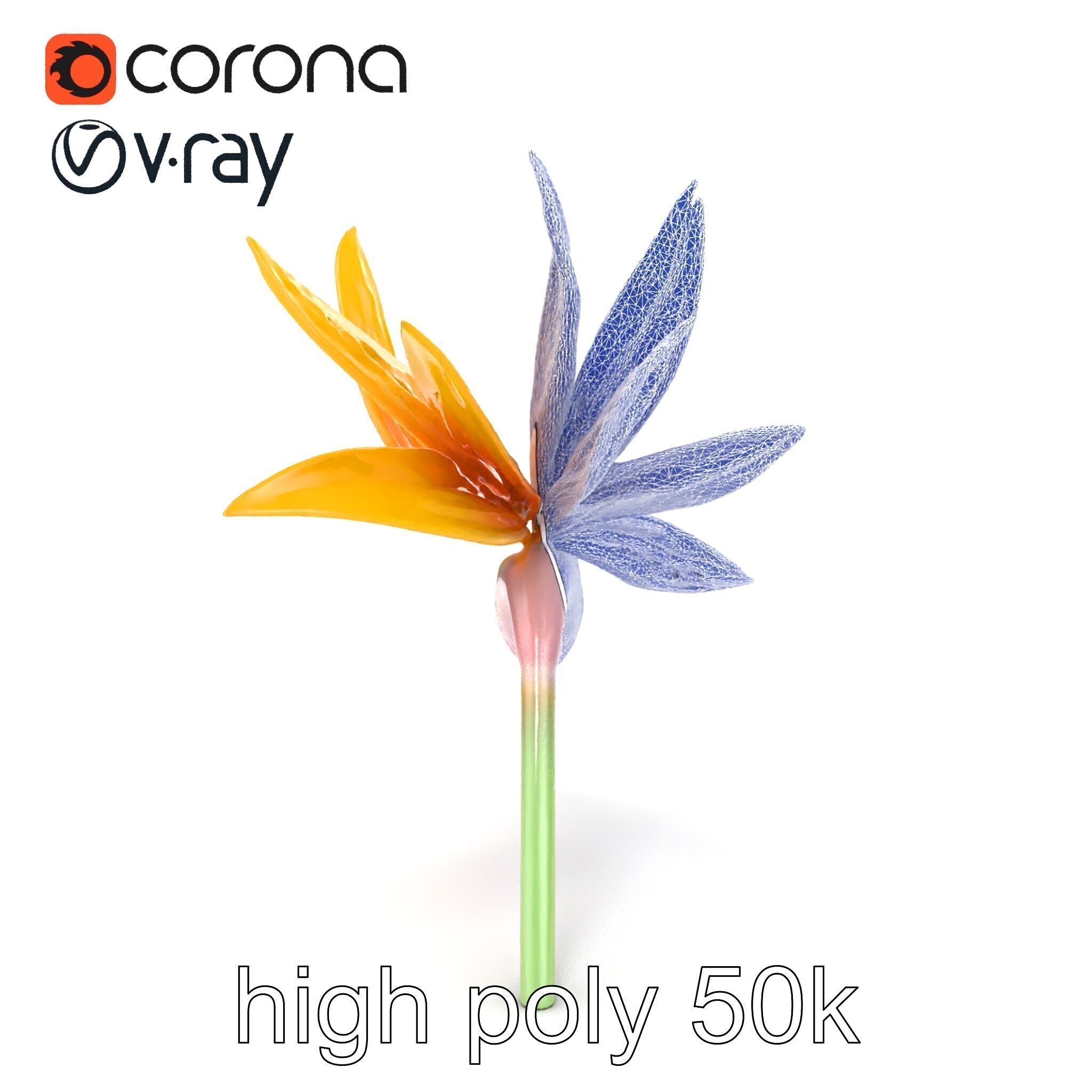 Yellow Strelitzia Flower 3D Model Pack Low-poly 3D model_23