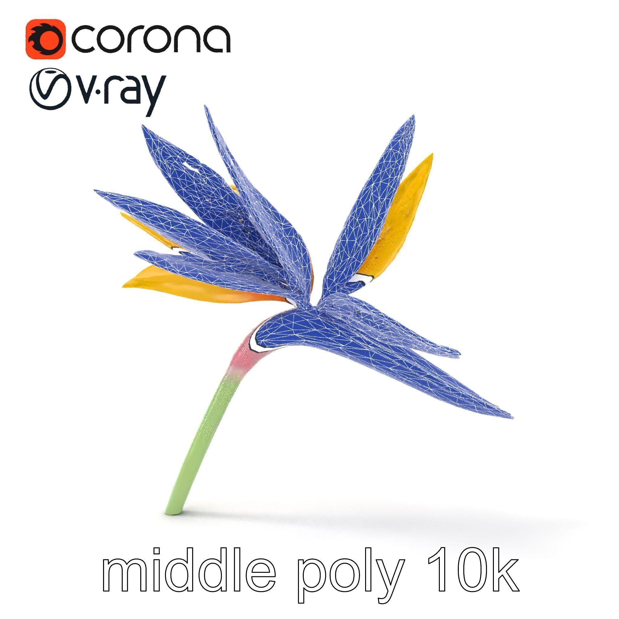 Yellow Strelitzia Flower 3D Model Pack Low-poly 3D model_30