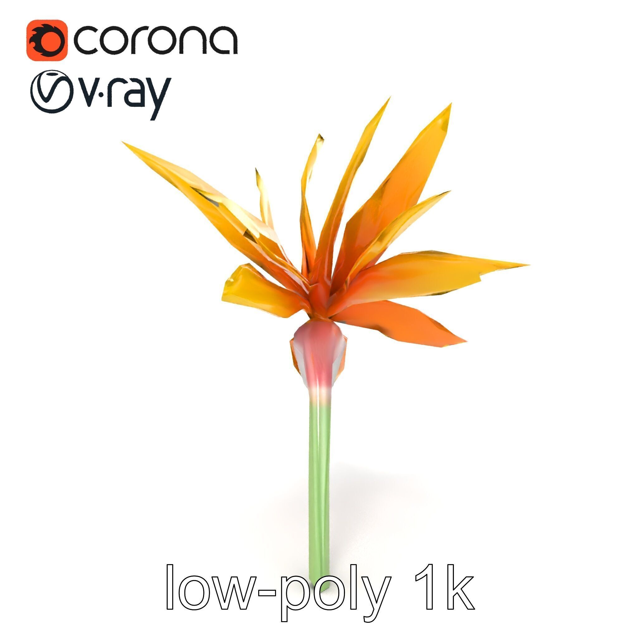 Yellow Strelitzia Flower 3D Model Pack Low-poly 3D model_20