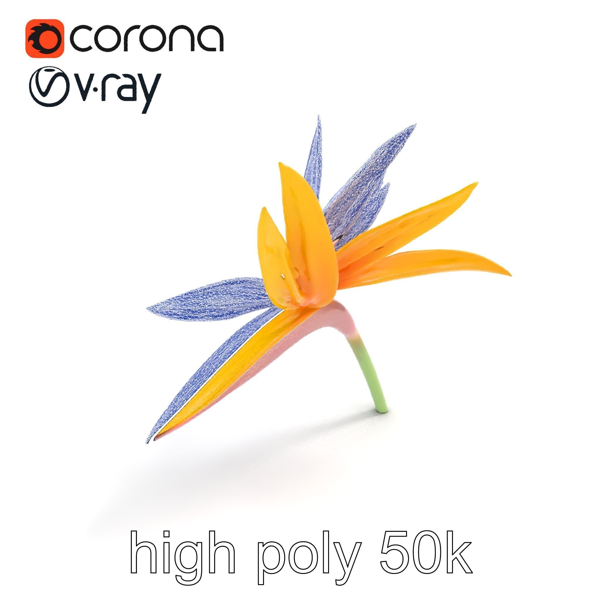 Yellow Strelitzia Flower 3D Model Pack Low-poly 3D model_28