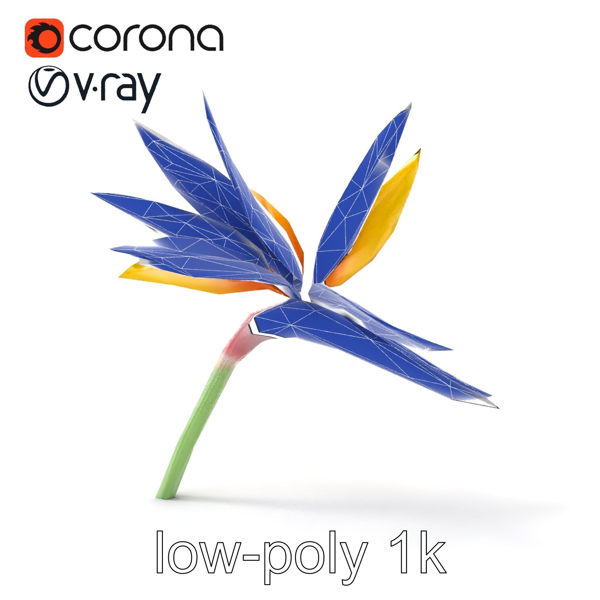 Yellow Strelitzia Flower 3D Model Pack Low-poly 3D model_25