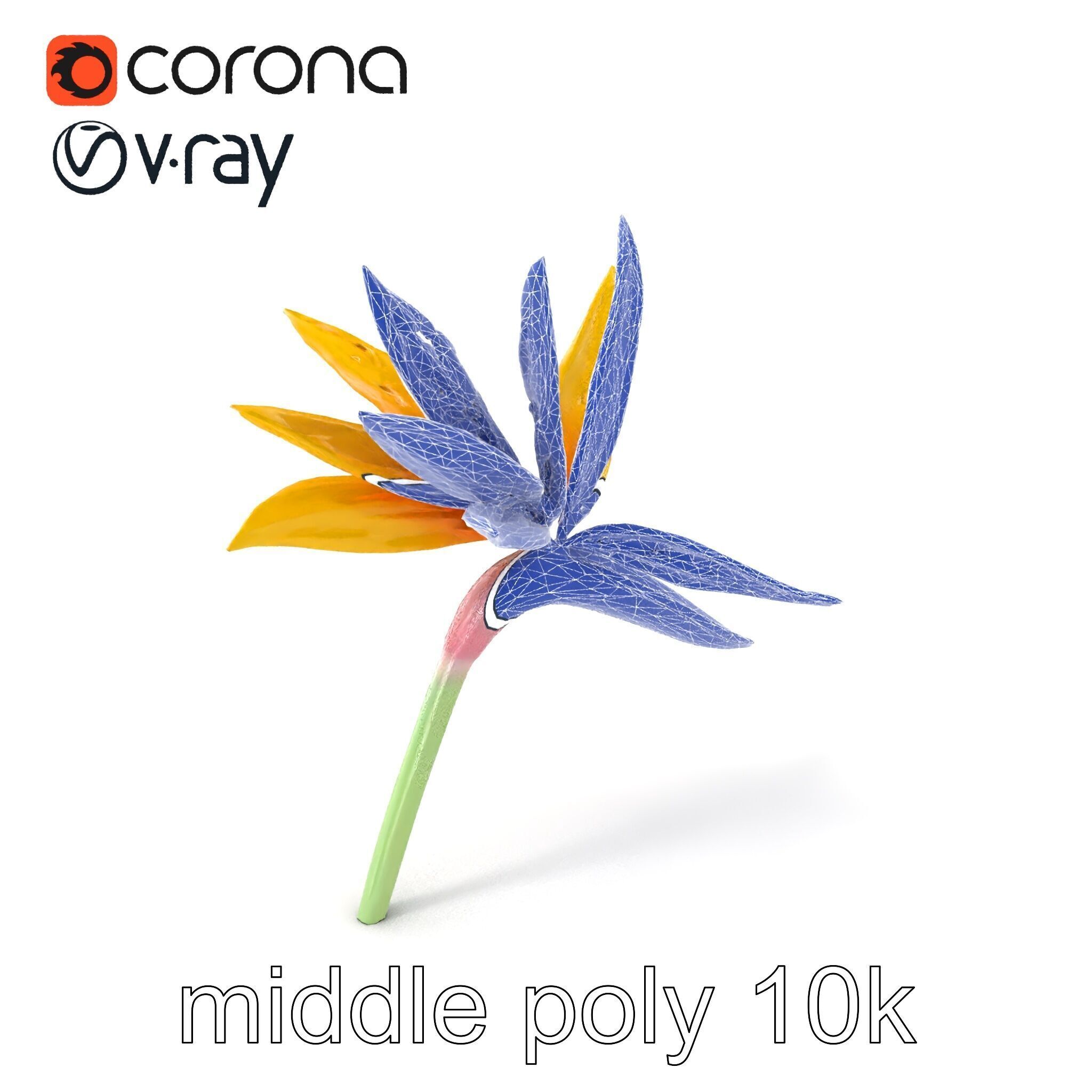 Yellow Strelitzia Flower 3D Model Pack Low-poly 3D model_6