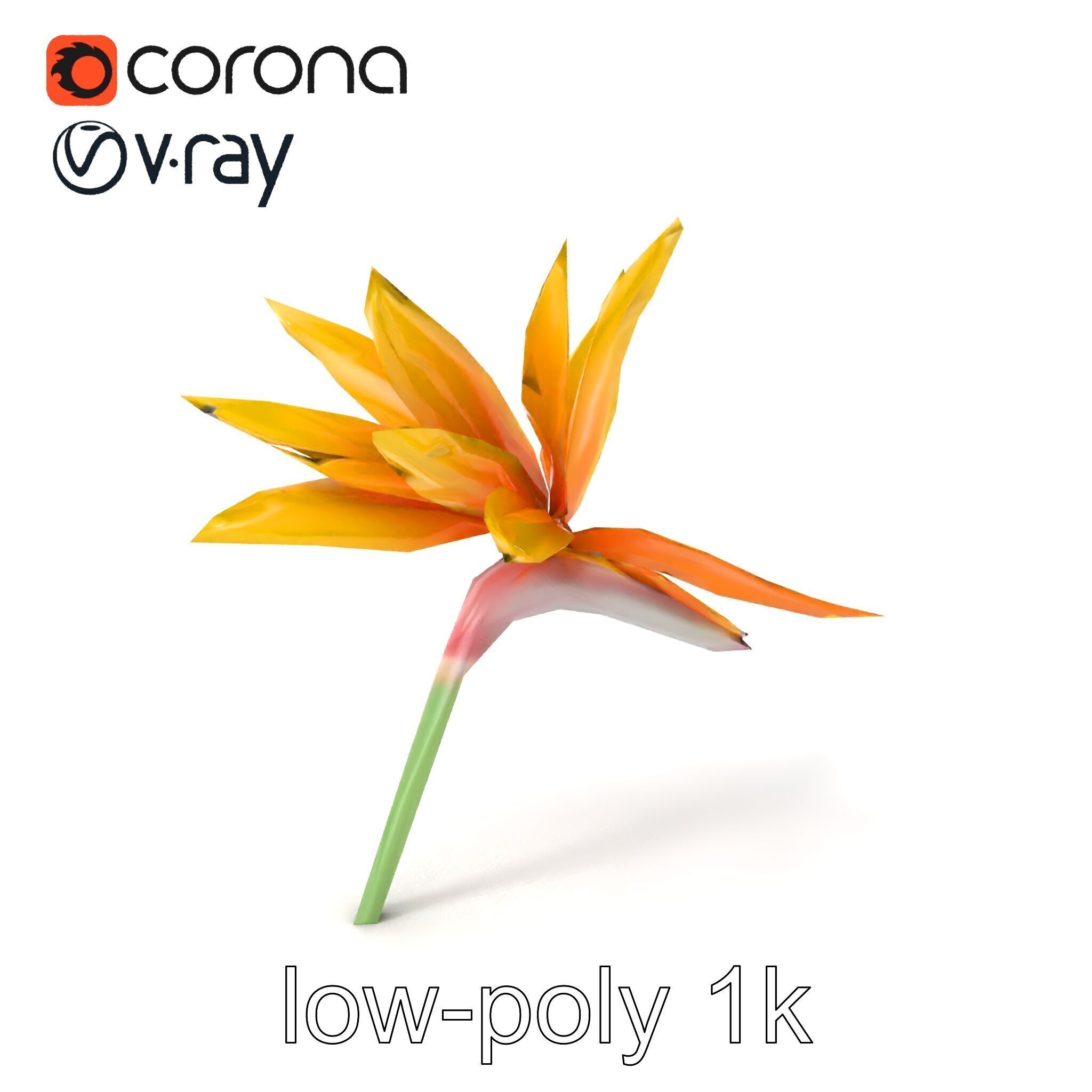 Yellow Strelitzia Flower 3D Model Pack Low-poly 3D model_5
