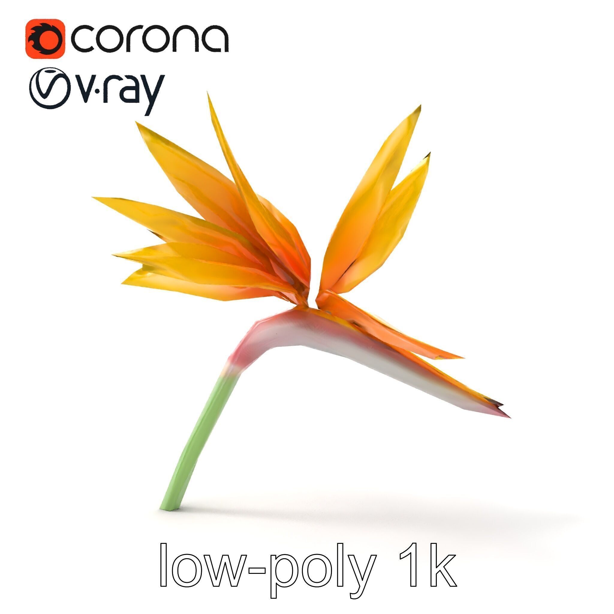 Yellow Strelitzia Flower 3D Model Pack Low-poly 3D model_24