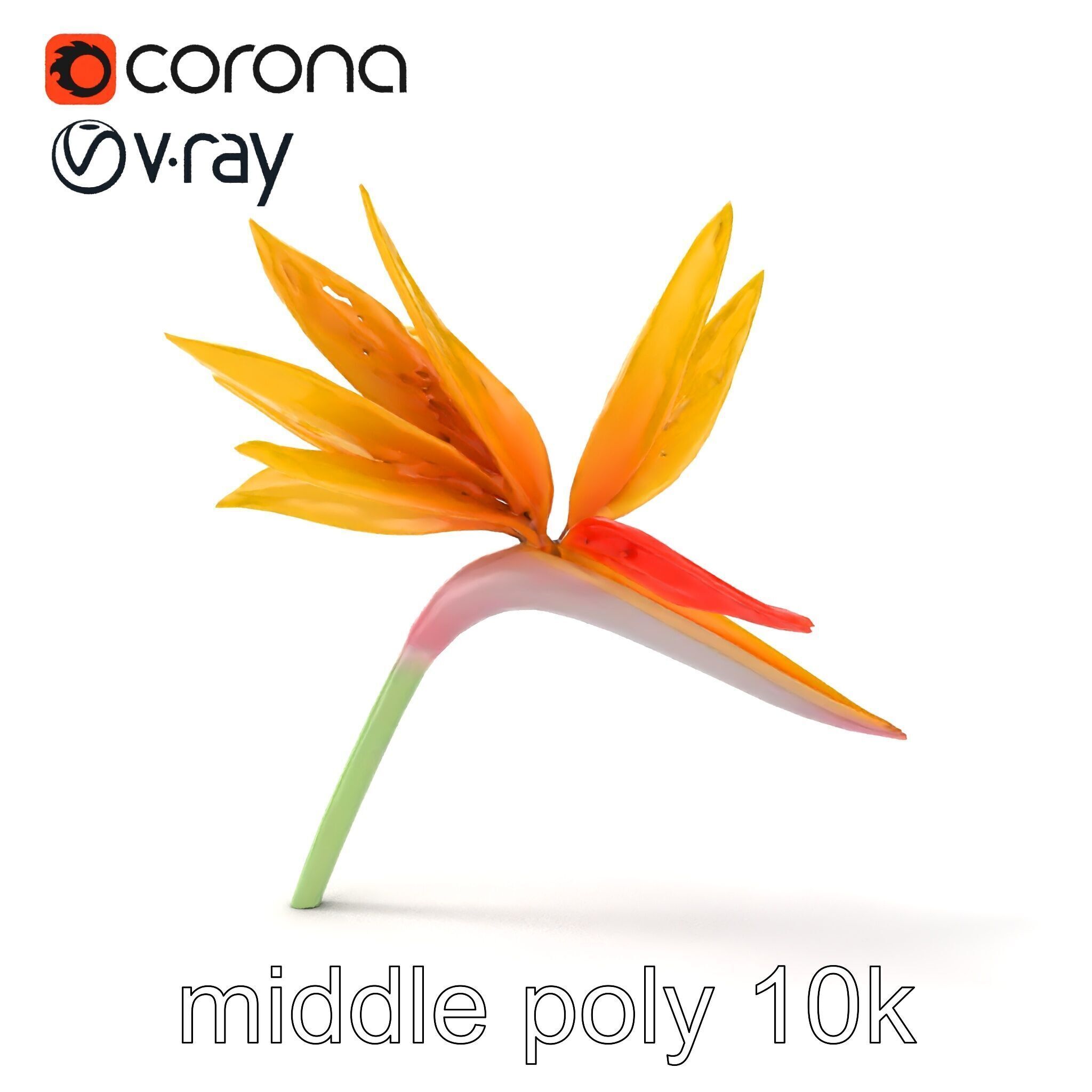 Yellow Strelitzia Flower 3D Model Pack Low-poly 3D model_17