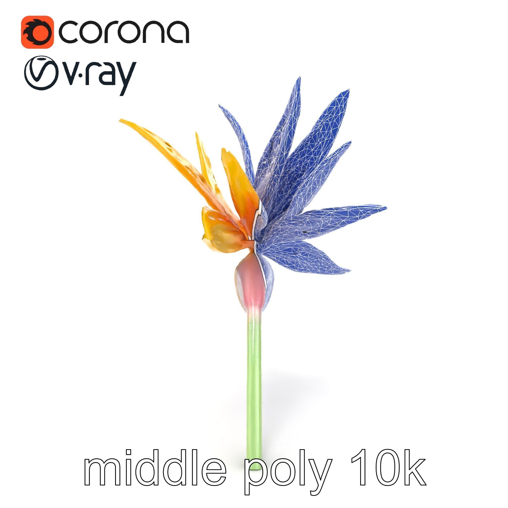 Yellow Strelitzia Flower 3D Model Pack Low-poly 3D model_32