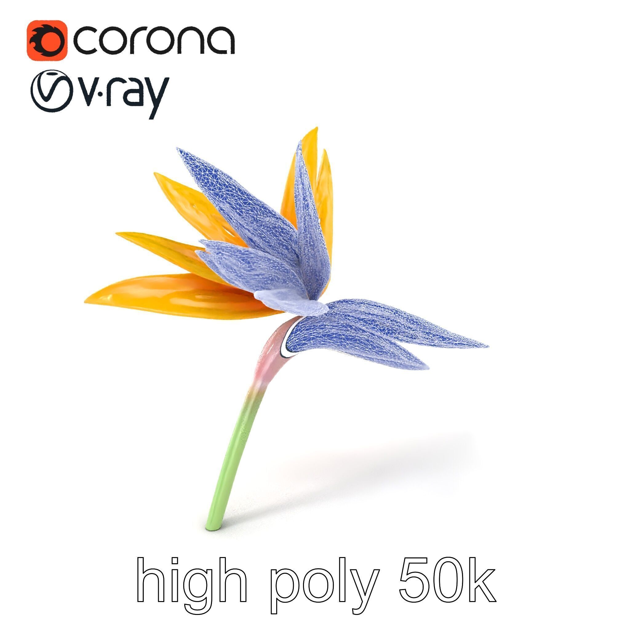 Yellow Strelitzia Flower 3D Model Pack Low-poly 3D model_10