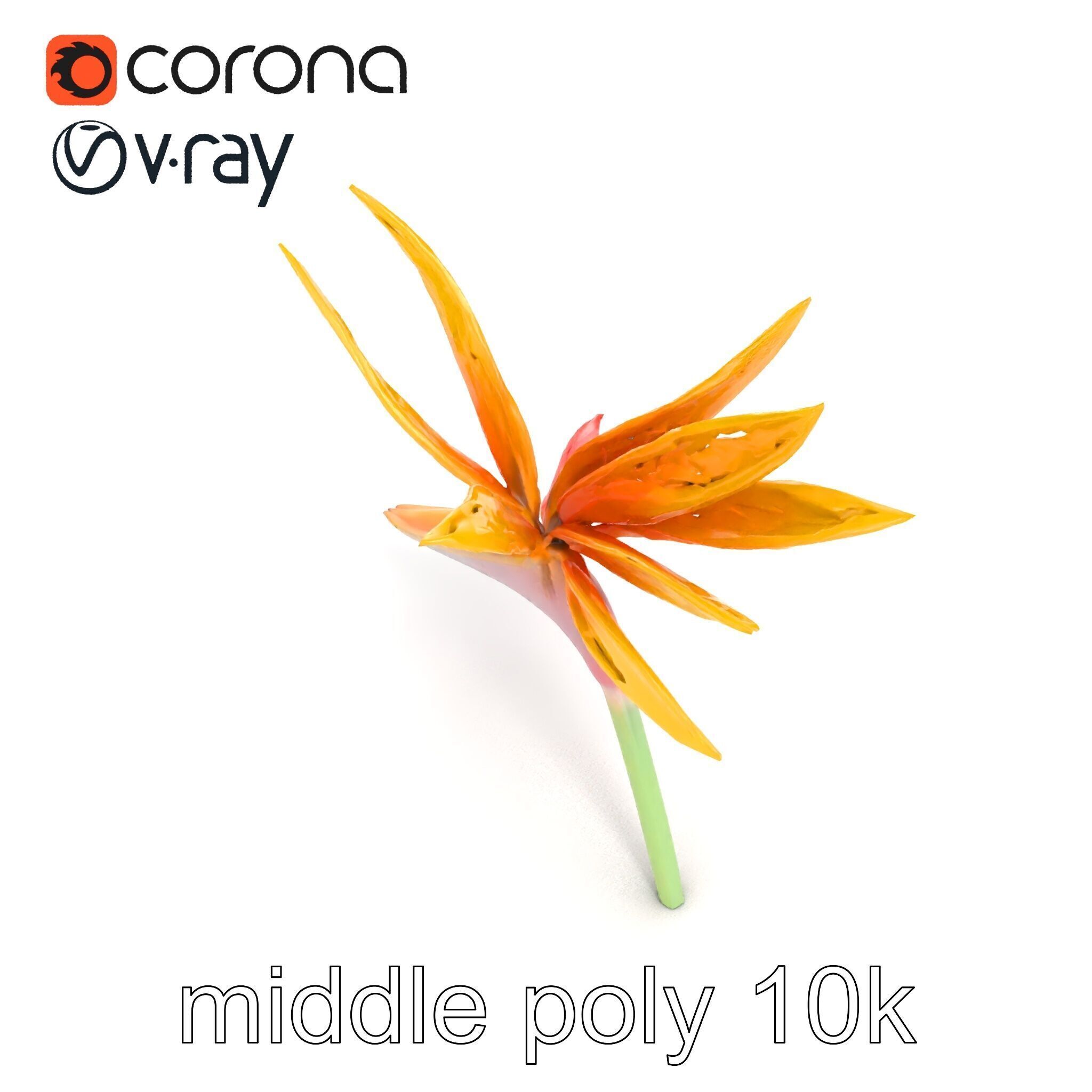 Yellow Strelitzia Flower 3D Model Pack Low-poly 3D model_31