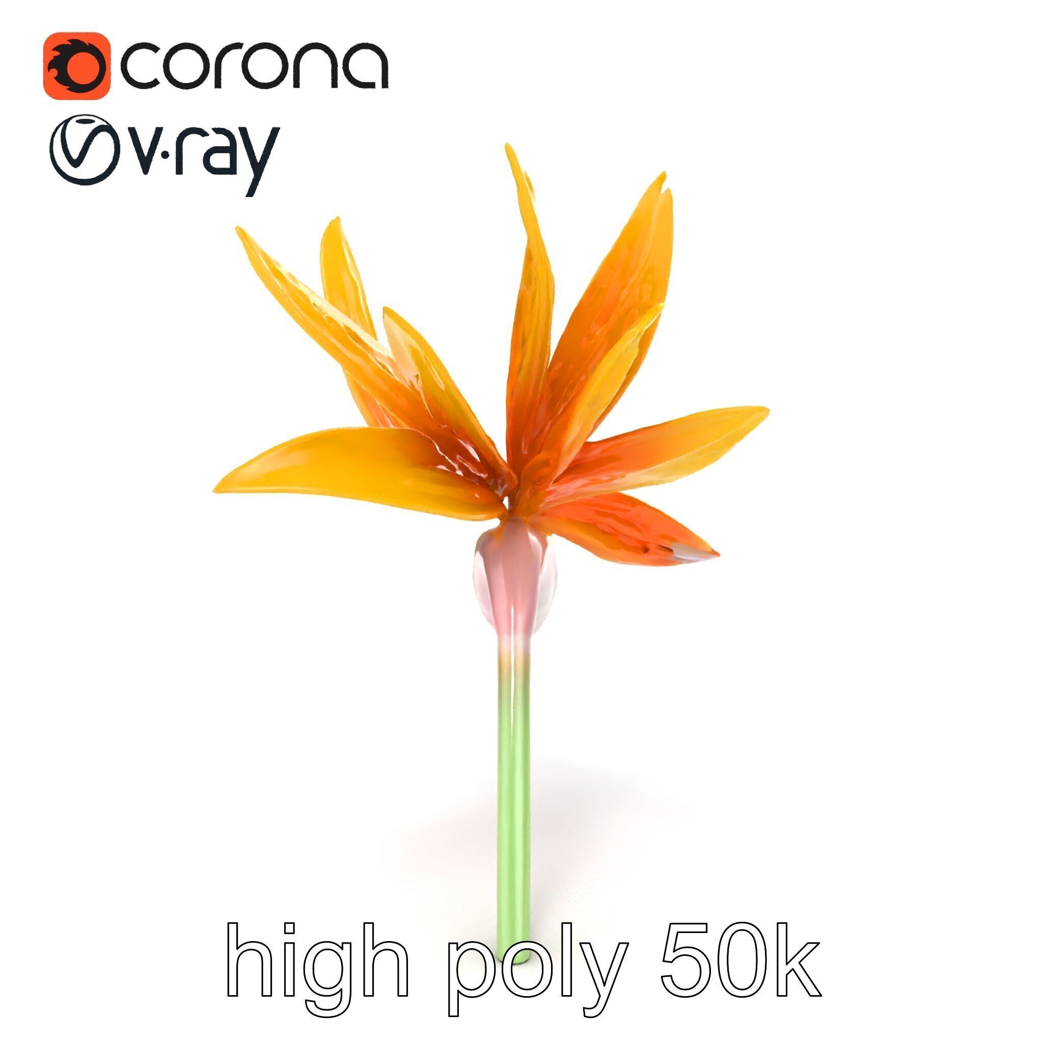 Yellow Strelitzia Flower 3D Model Pack Low-poly 3D model_16