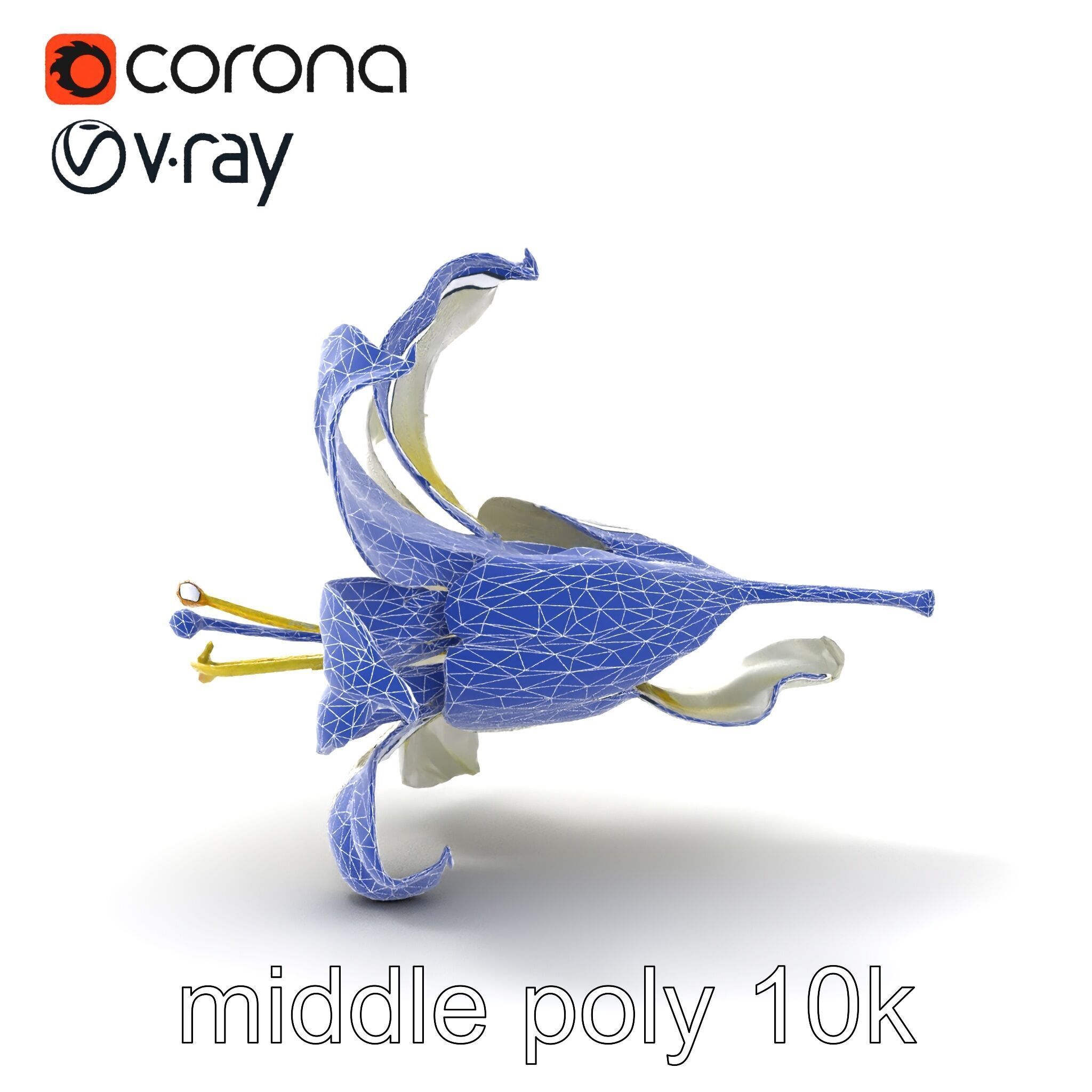 White Lily Candidum Flower model pack Low-poly 3D model_26