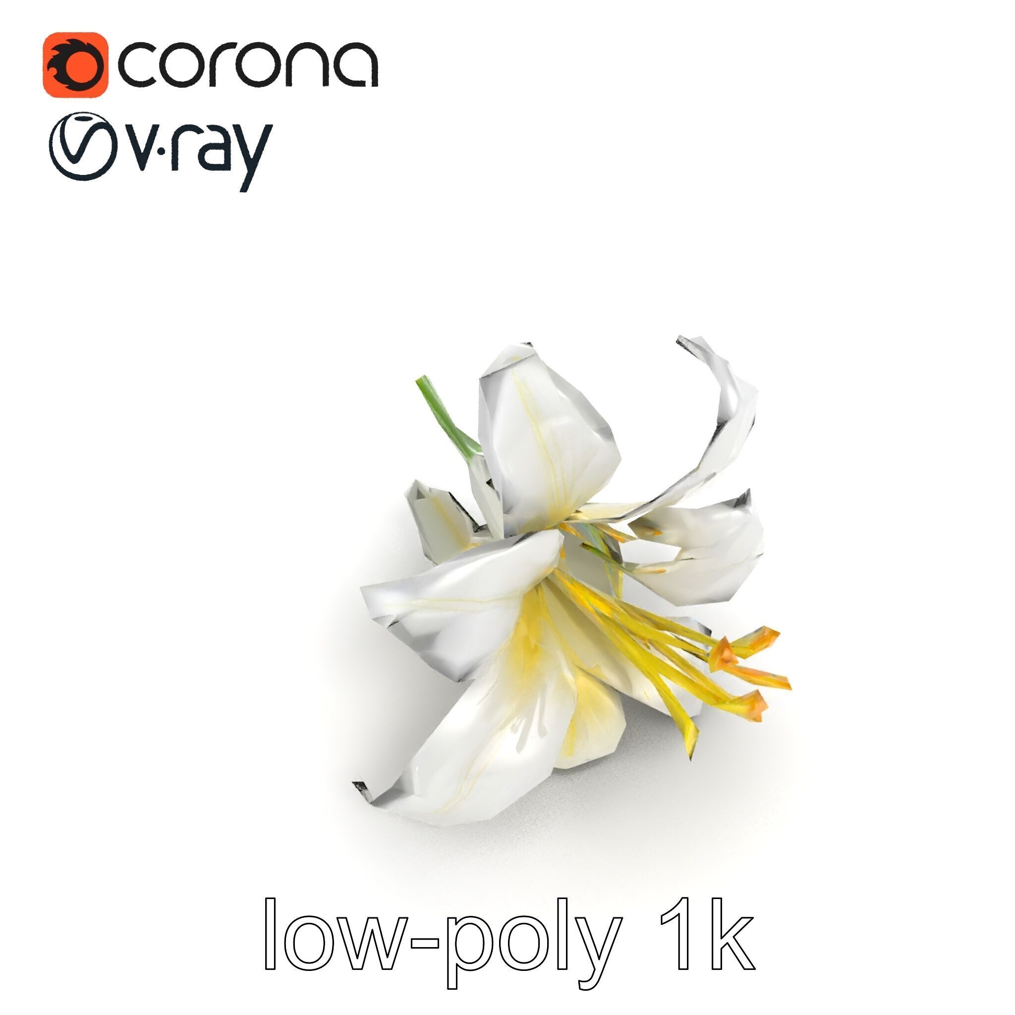 White Lily Candidum Flower model pack Low-poly 3D model_28