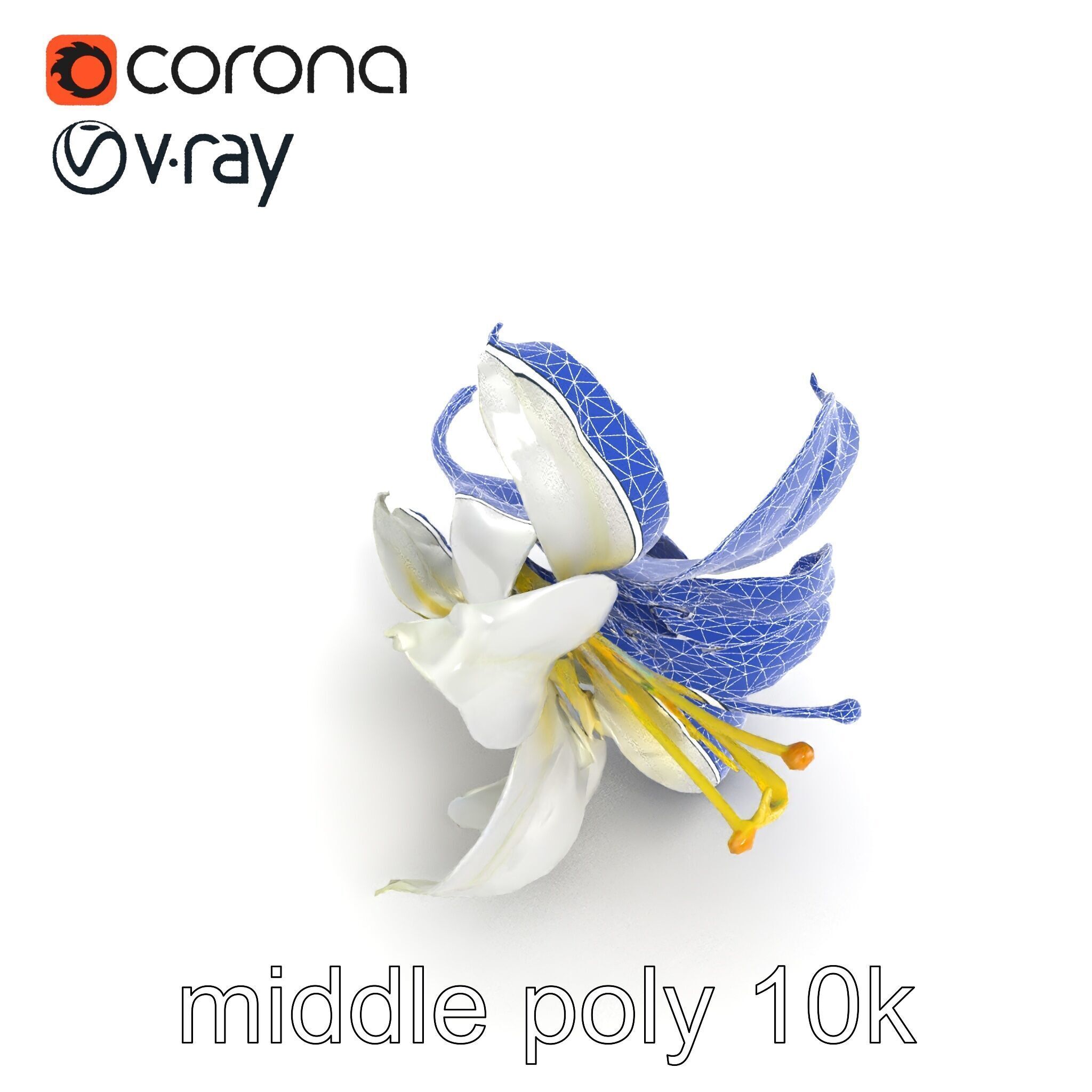 White Lily Candidum Flower model pack Low-poly 3D model_21