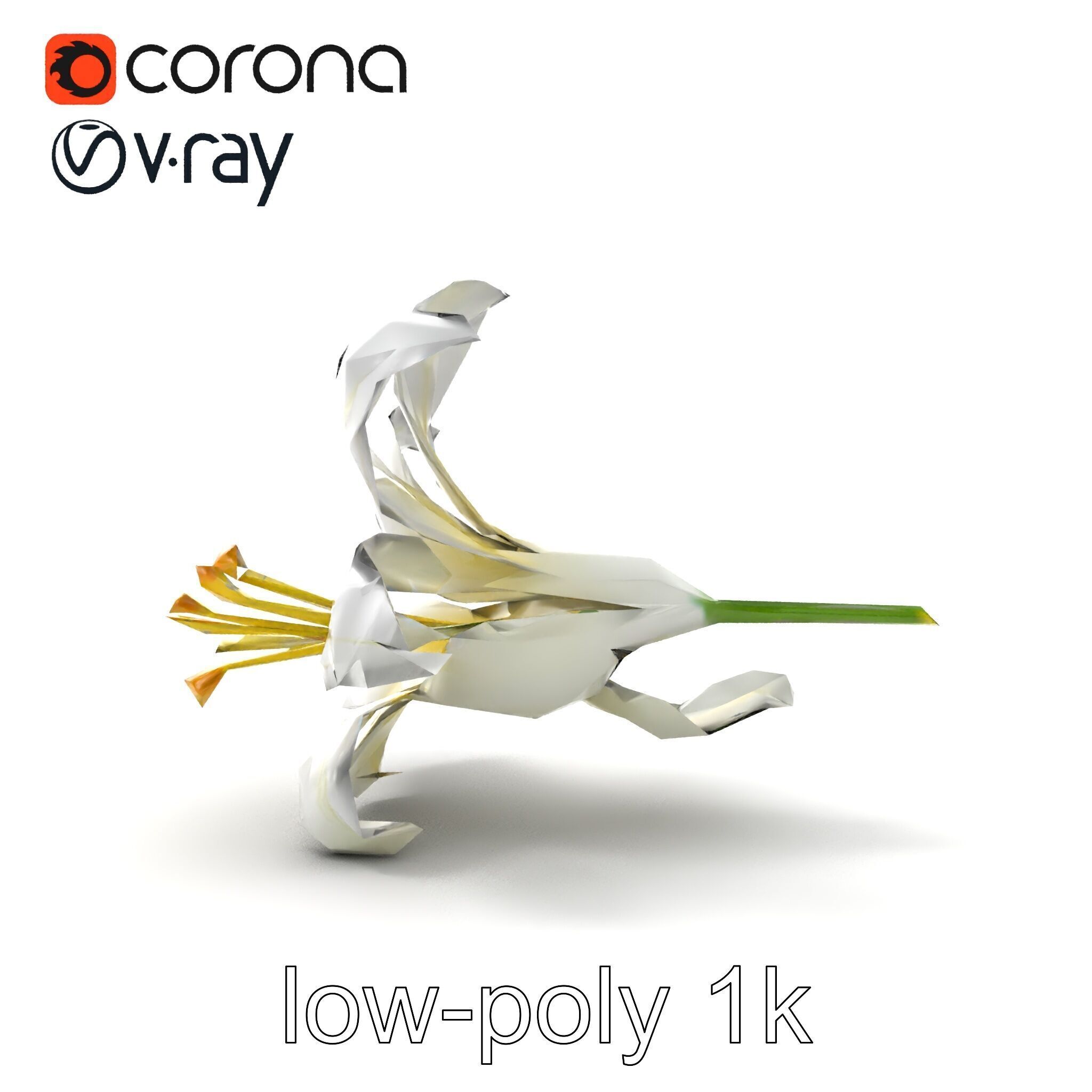 White Lily Candidum Flower model pack Low-poly 3D model_19