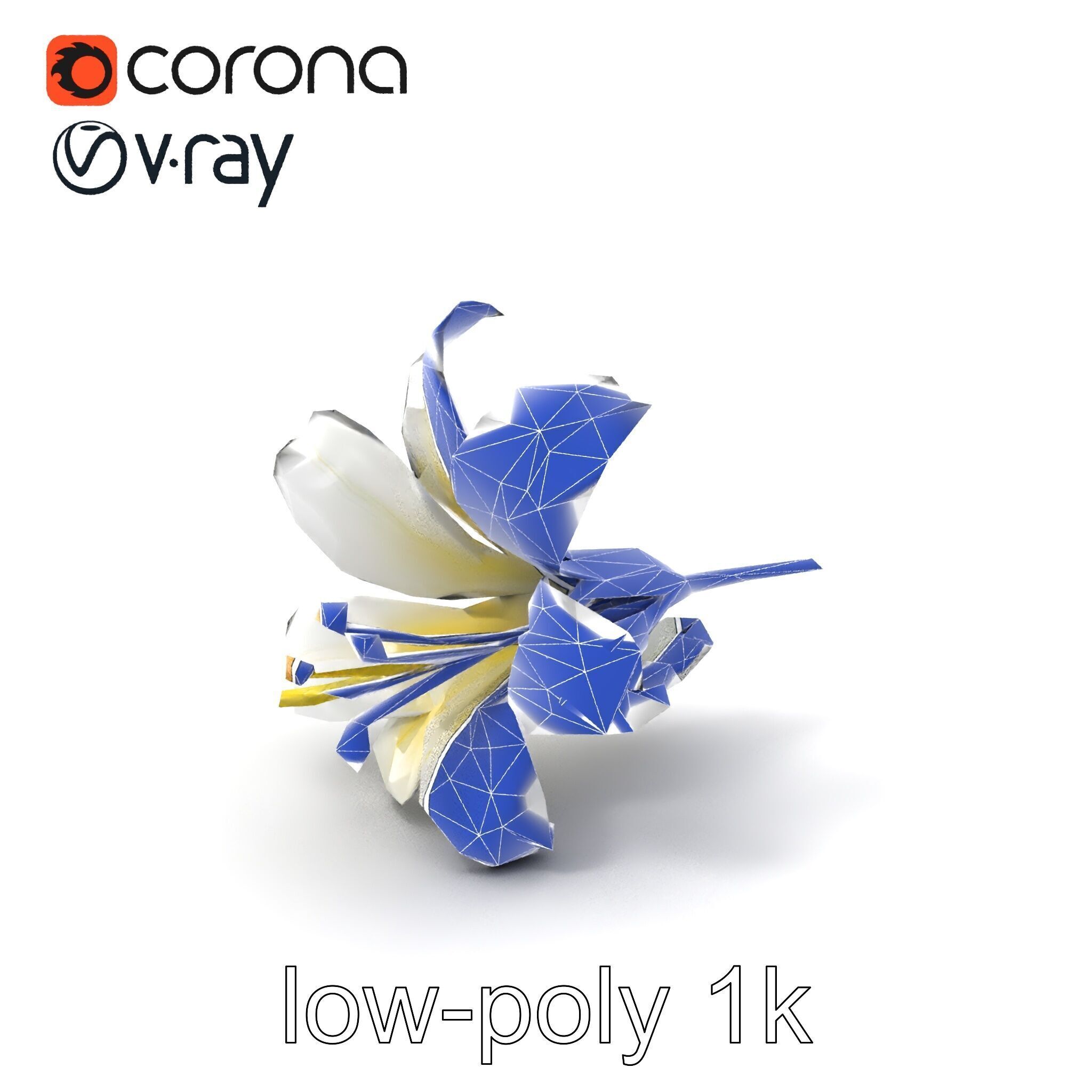 White Lily Candidum Flower model pack Low-poly 3D model_6