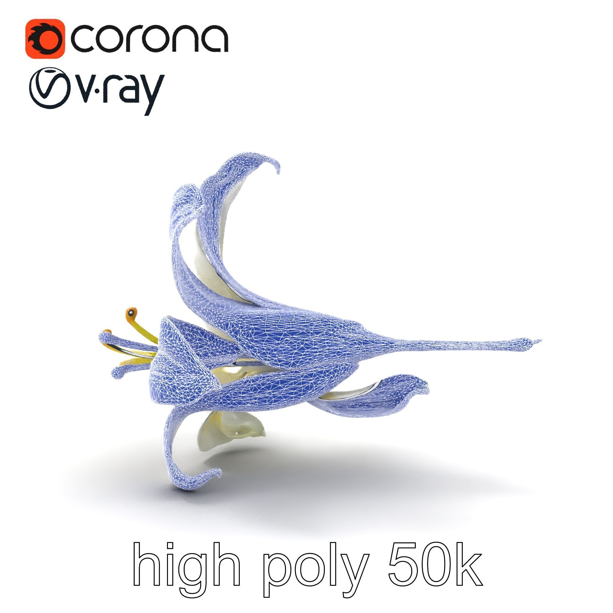 White Lily Candidum Flower model pack Low-poly 3D model_27