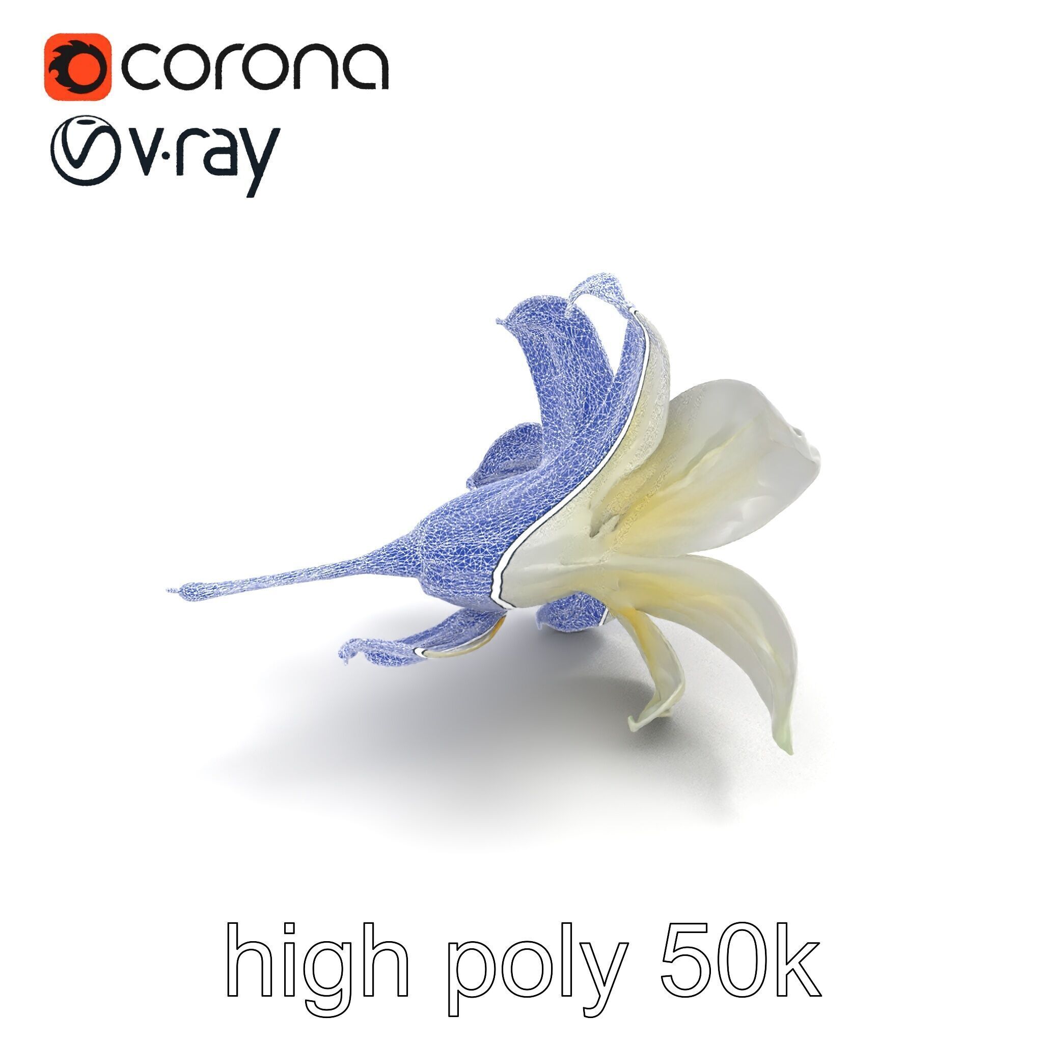 White Lily Candidum Flower model pack Low-poly 3D model_24