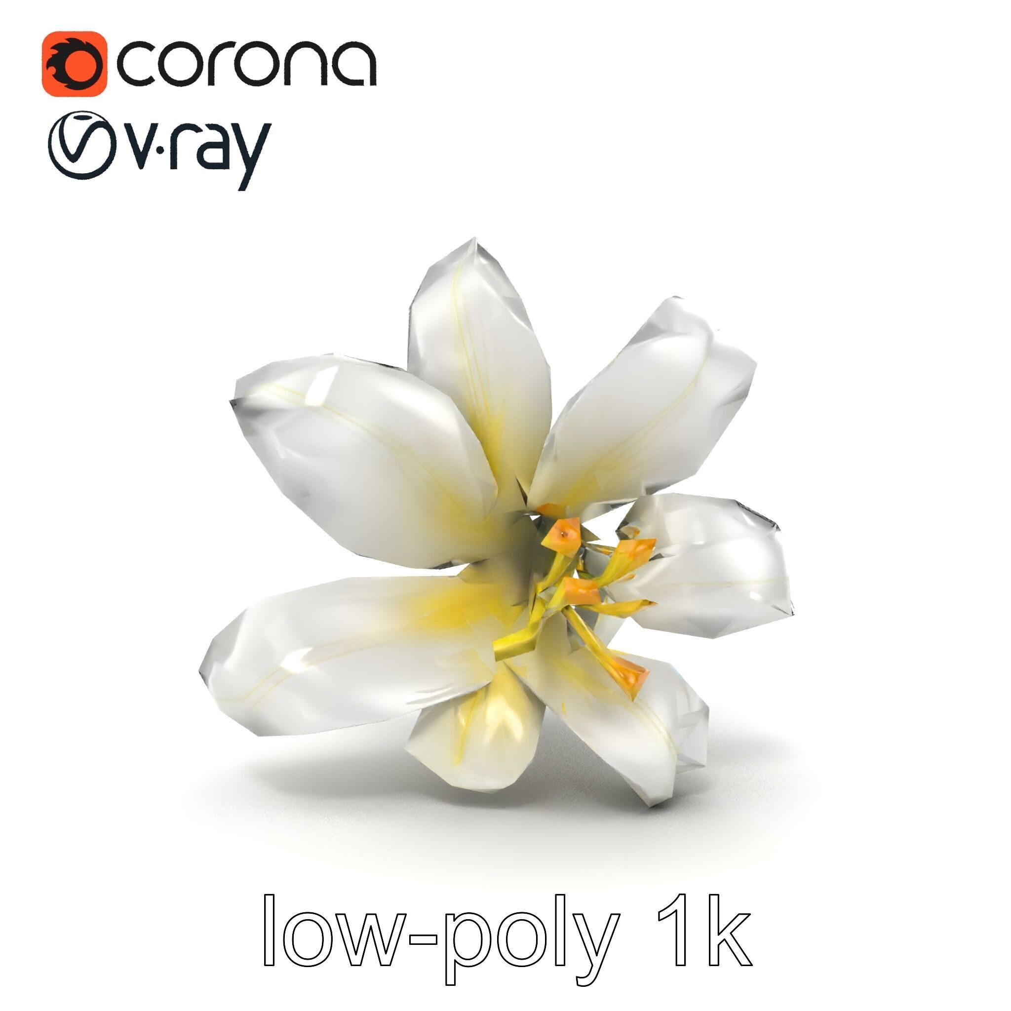 White Lily Candidum Flower model pack Low-poly 3D model_29