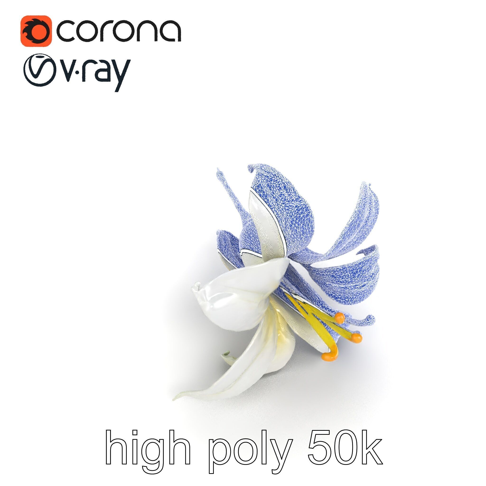 White Lily Candidum Flower model pack Low-poly 3D model_18