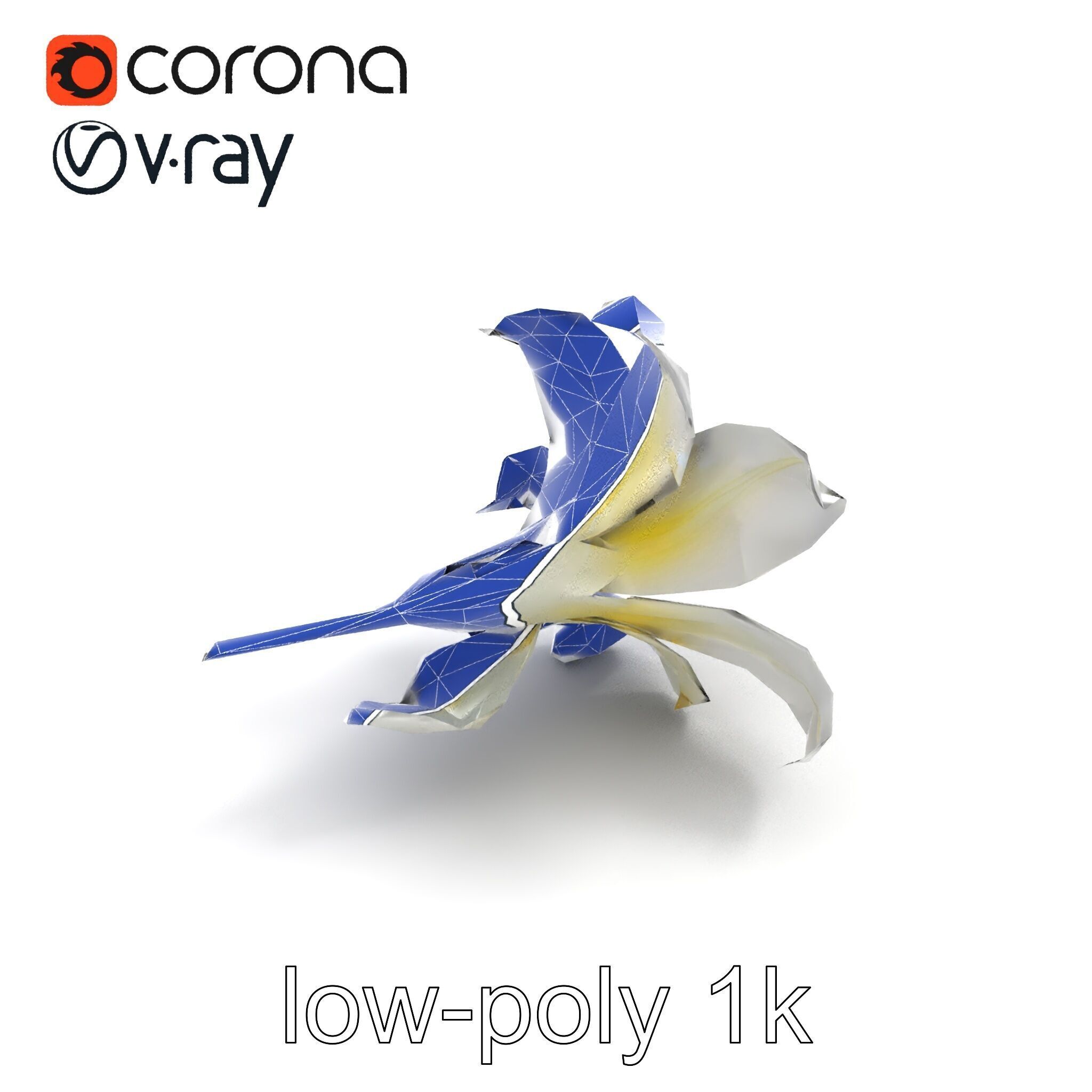 White Lily Candidum Flower model pack Low-poly 3D model_13