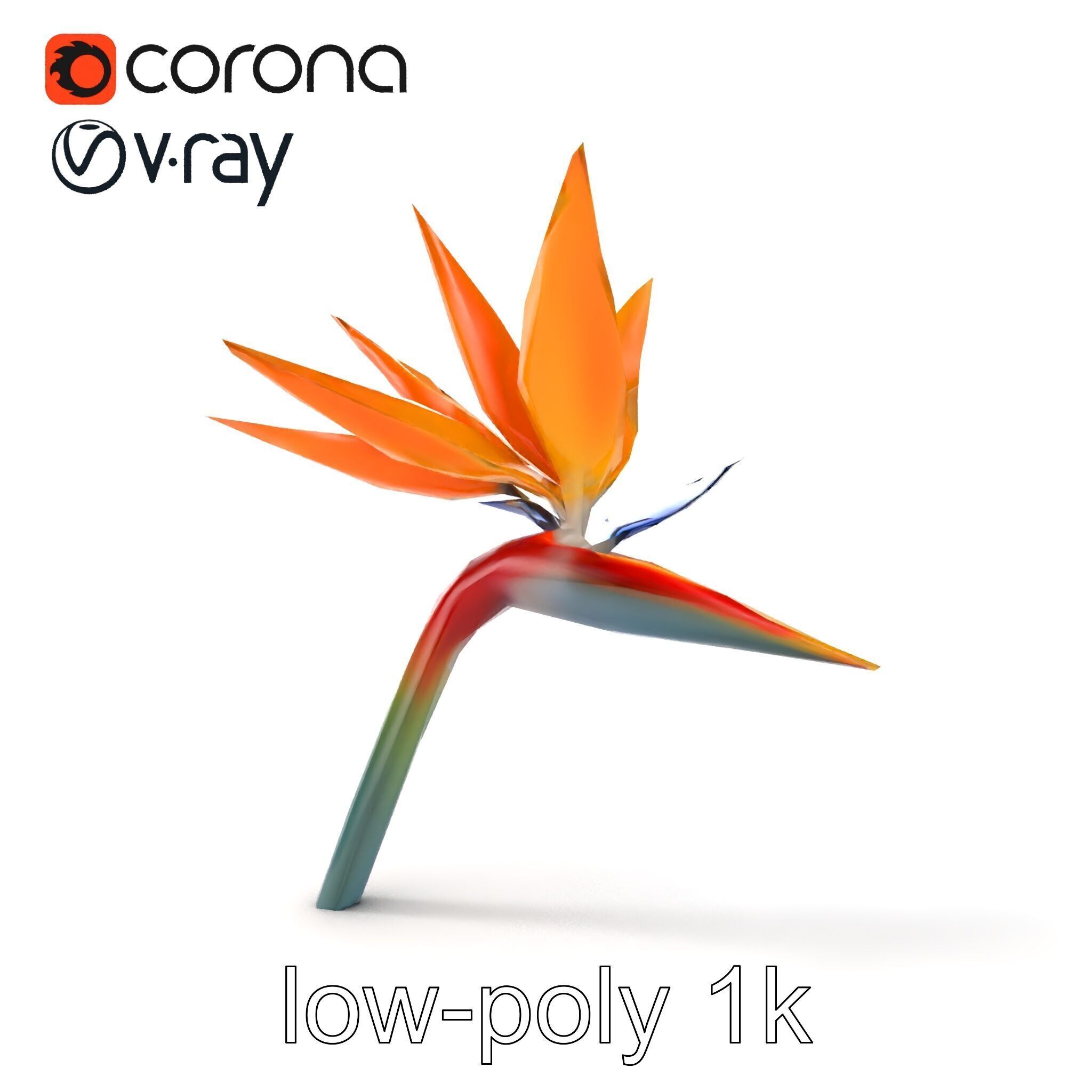Strelitzia Bicolor Gradient Petal Sculpture Model Pack Low-poly 3D model_13