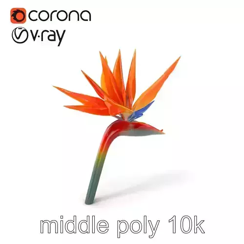 Strelitzia Bicolor Gradient Petal Sculpture Model Pack Low-poly 3D model