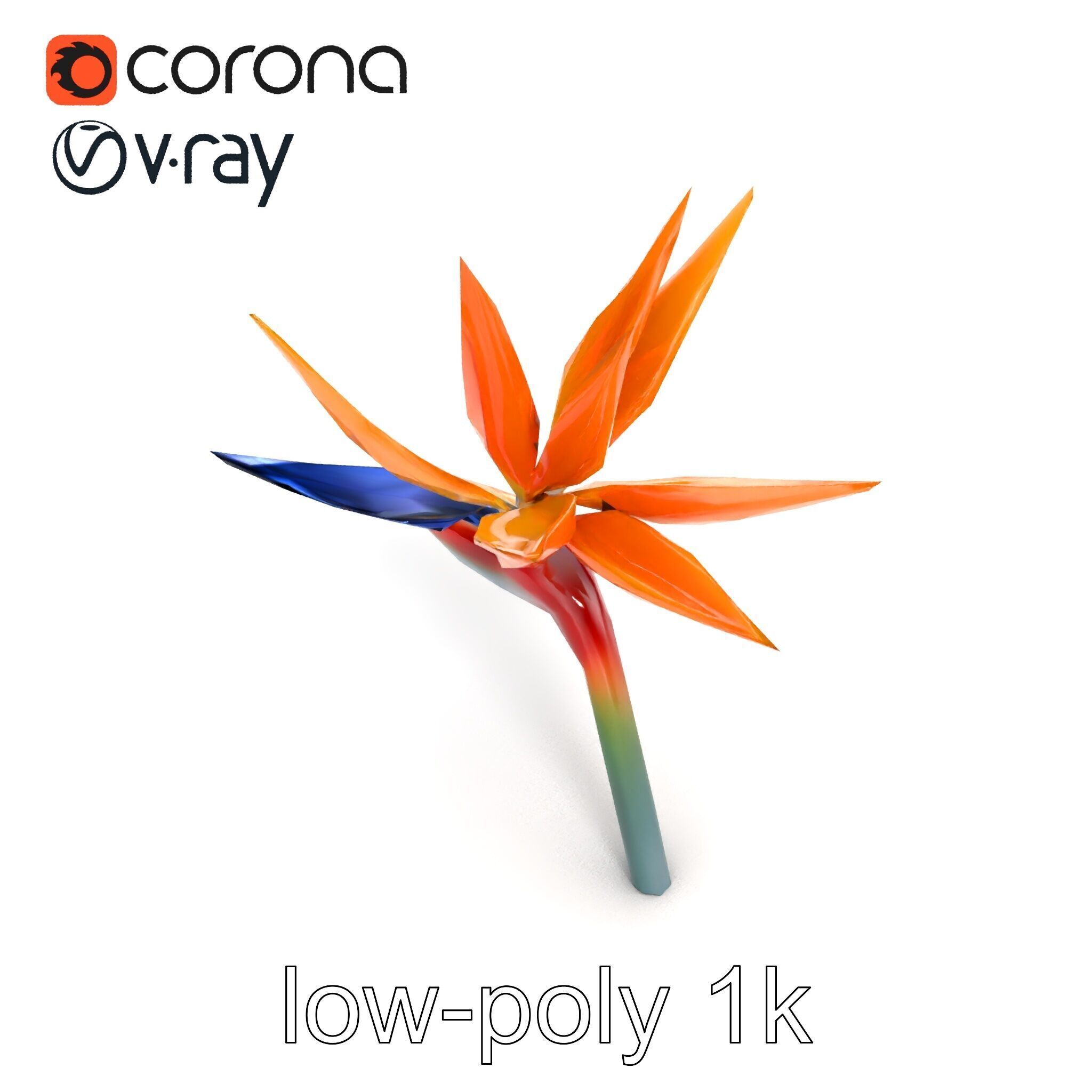 Strelitzia Bicolor Gradient Petal Sculpture Model Pack Low-poly 3D model_14